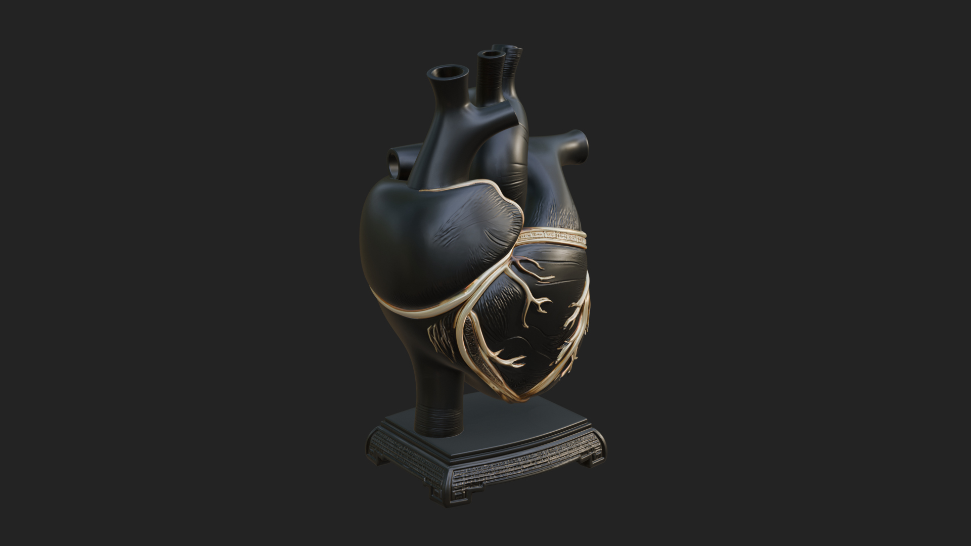 Anatomical Human Heart Model Design 35 3D Print Model 3D Model