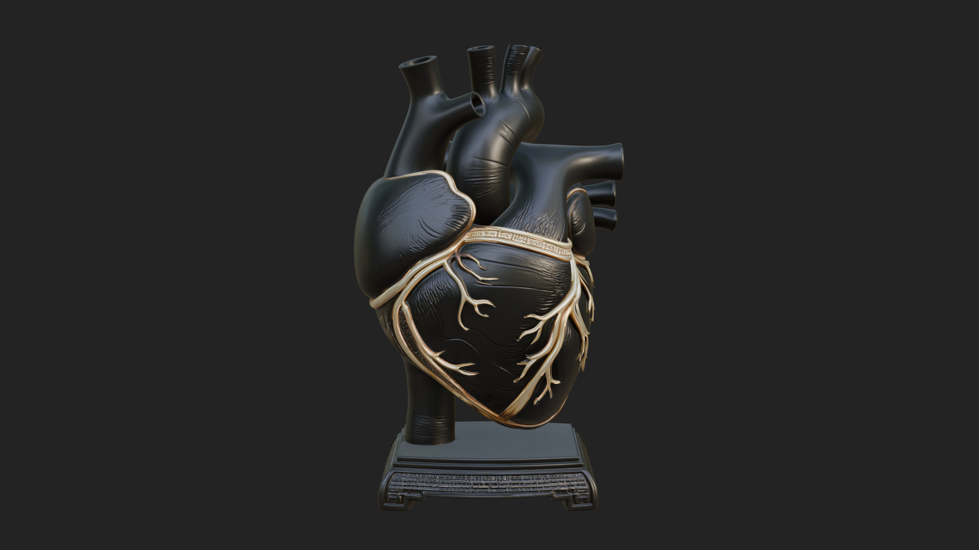 Anatomical Human Heart Model Design 35 3D Print Model 3D Model