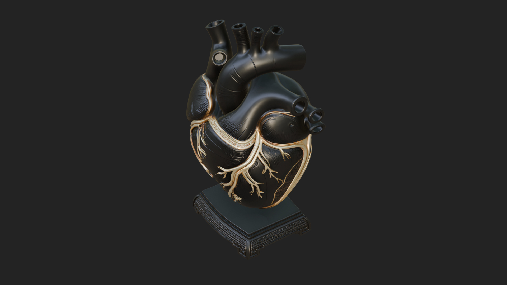 Anatomical Human Heart Model Design 35 3D Print Model 3D Model