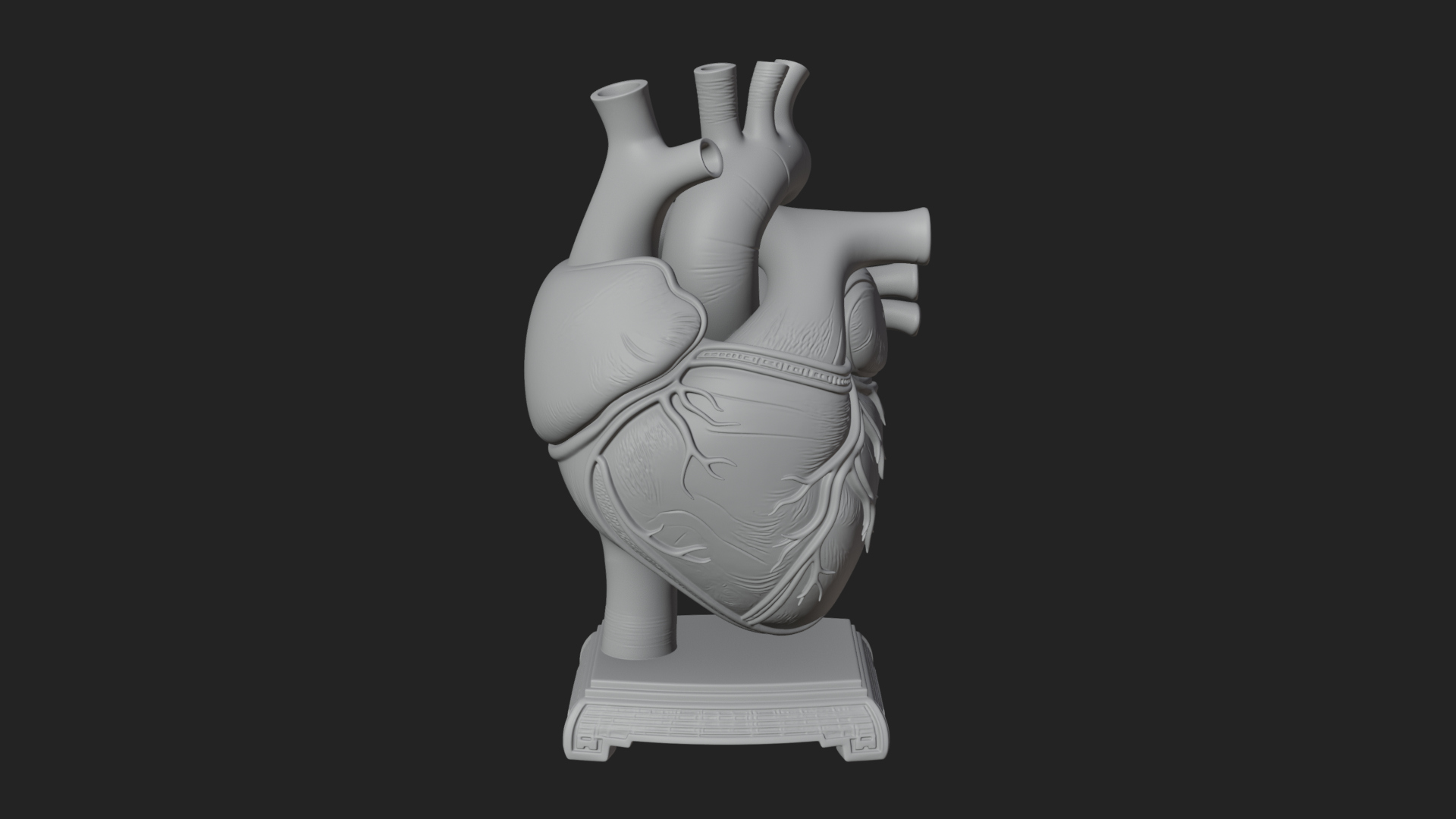 Anatomical Human Heart Model Design 35 3D Print Model 3D Model