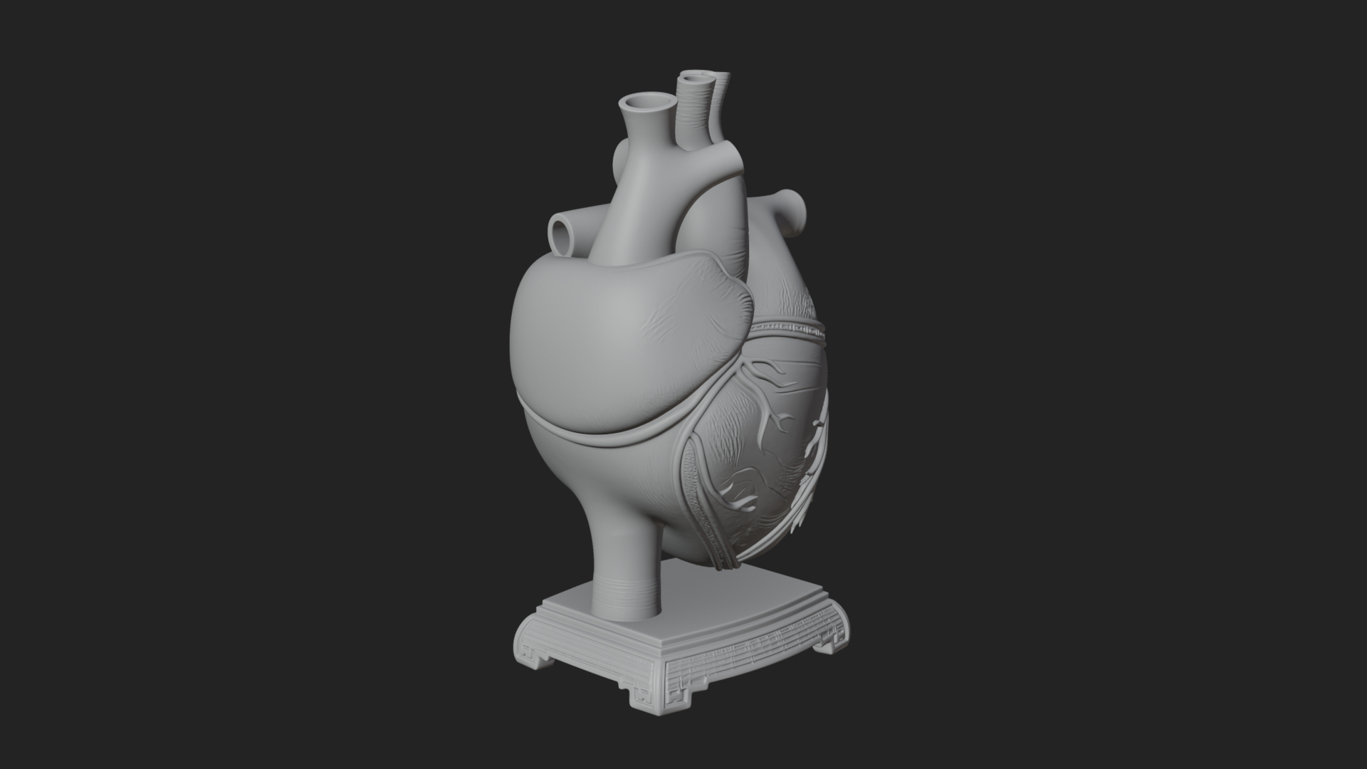 Anatomical Human Heart Model Design 35 3D Print Model 3D Model