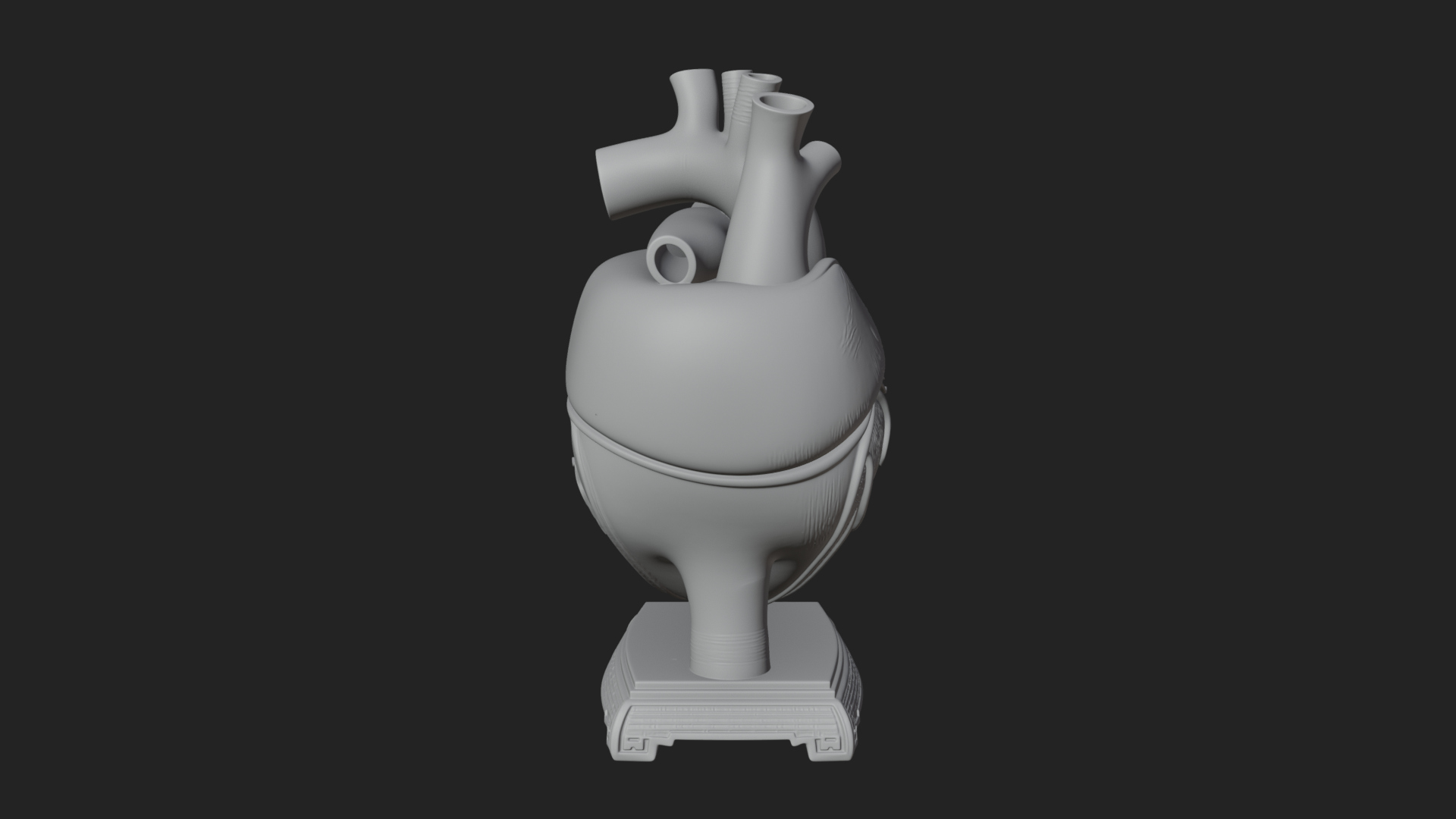 Anatomical Human Heart Model Design 35 3D Print Model 3D Model
