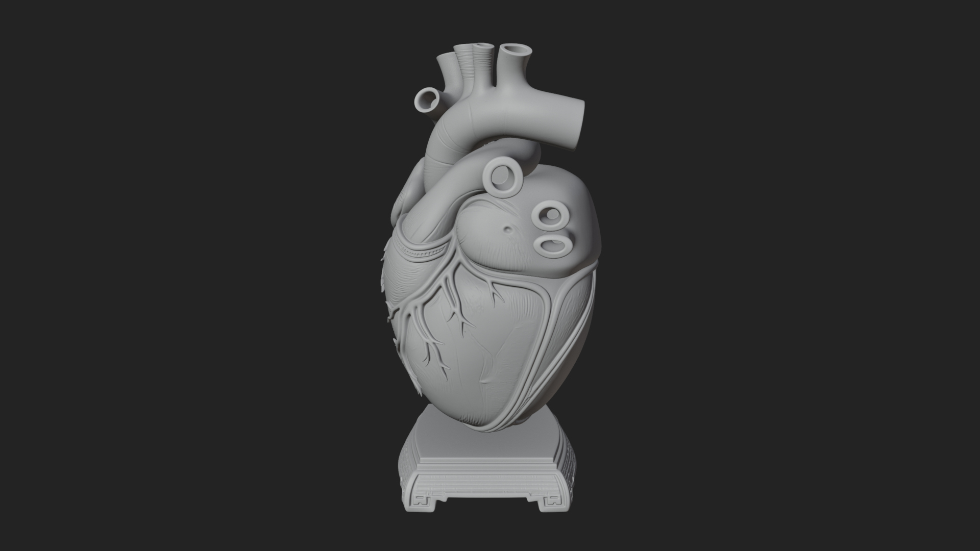 Anatomical Human Heart Model Design 35 3D Print Model 3D Model