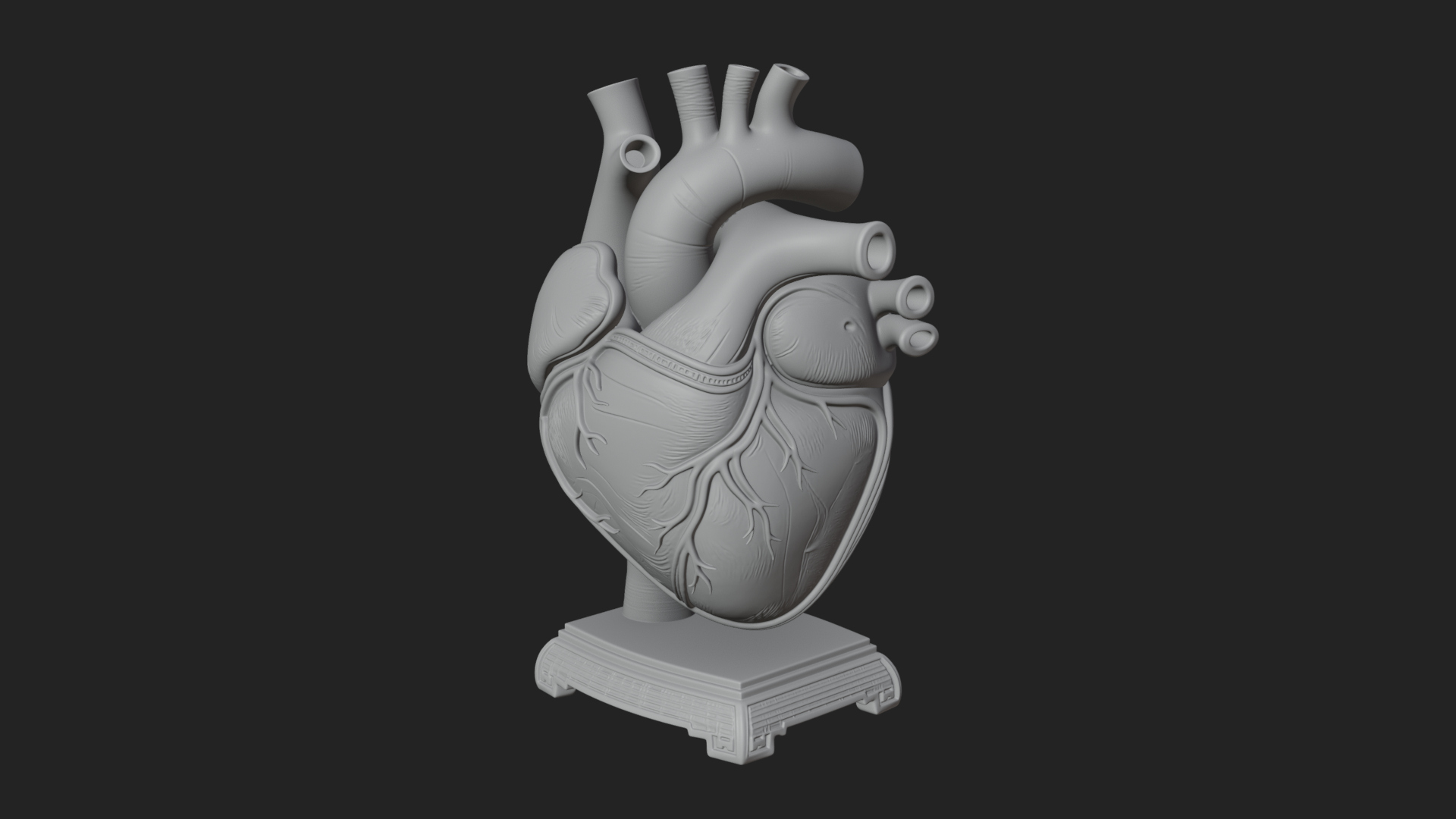 Anatomical Human Heart Model Design 35 3D Print Model 3D Model