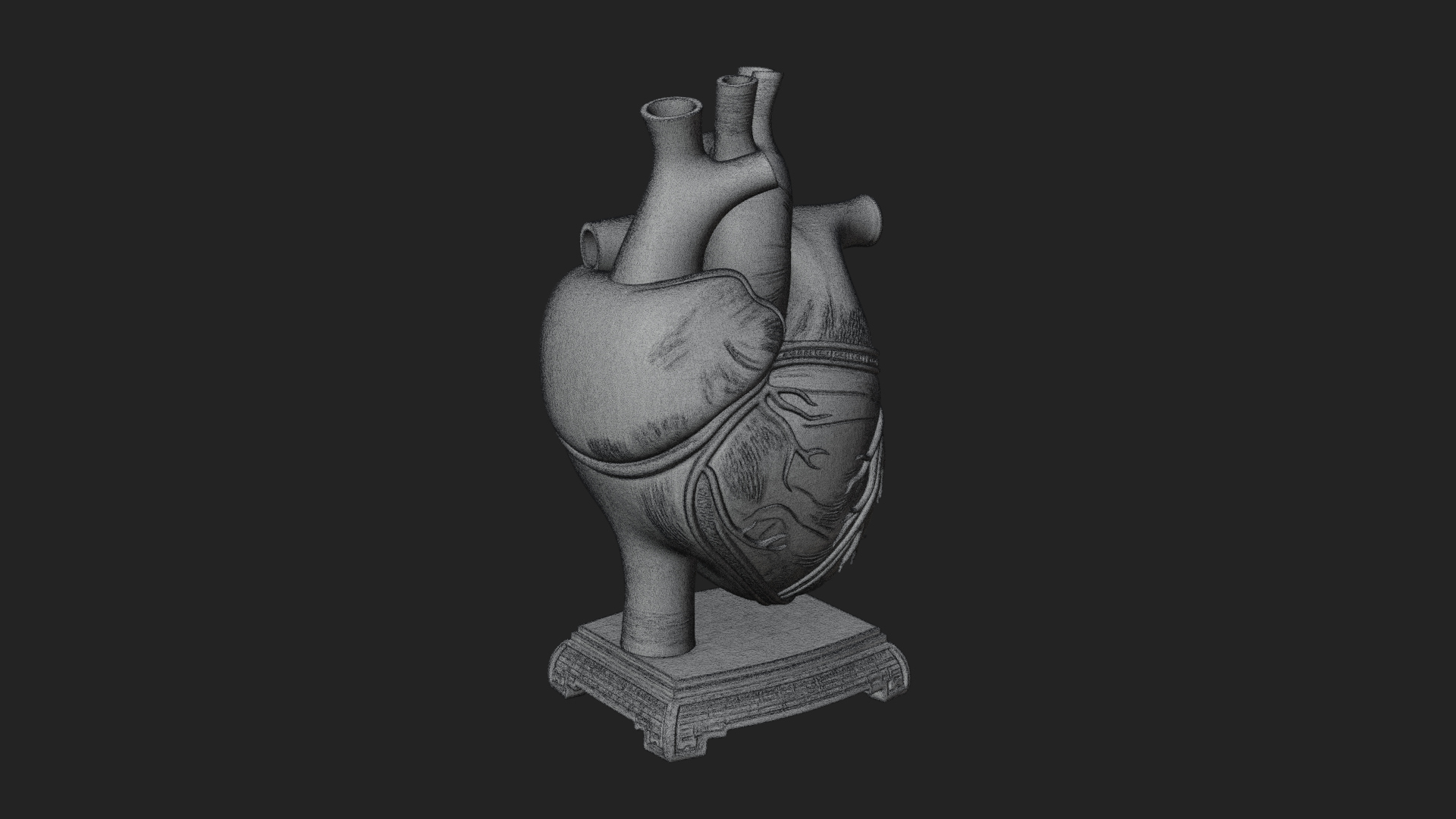 Anatomical Human Heart Model Design 35 3D Print Model 3D Model