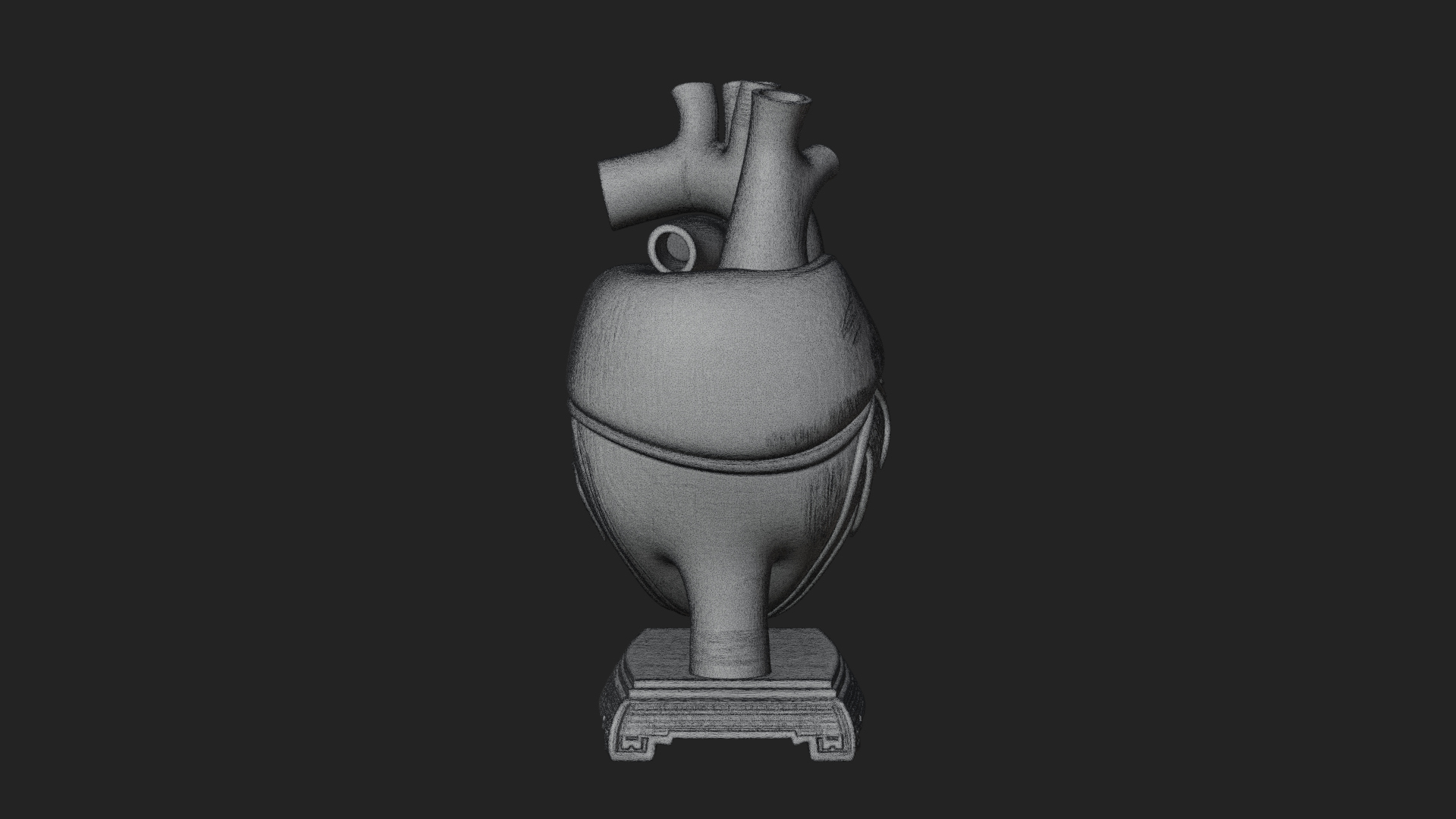 Anatomical Human Heart Model Design 35 3D Print Model 3D Model