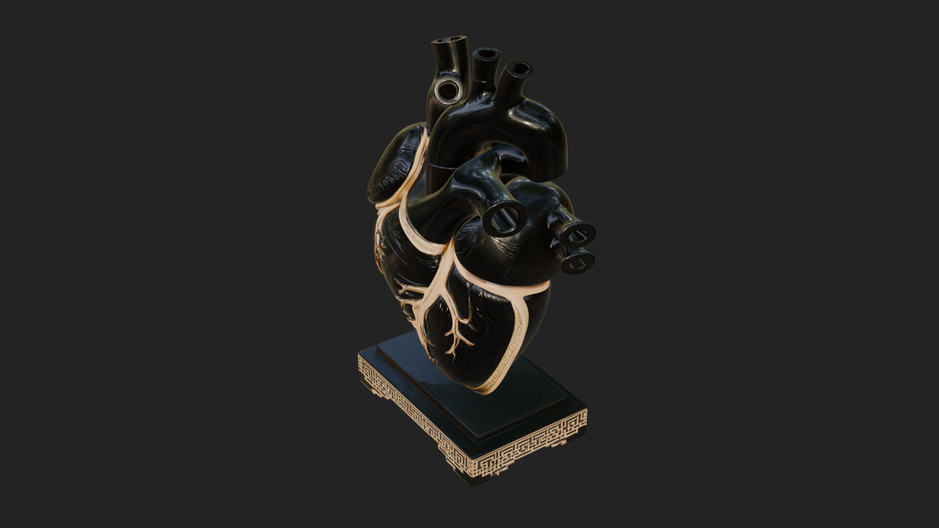 Anatomical Human Heart Model Design 36 3D Print Model 3D Model