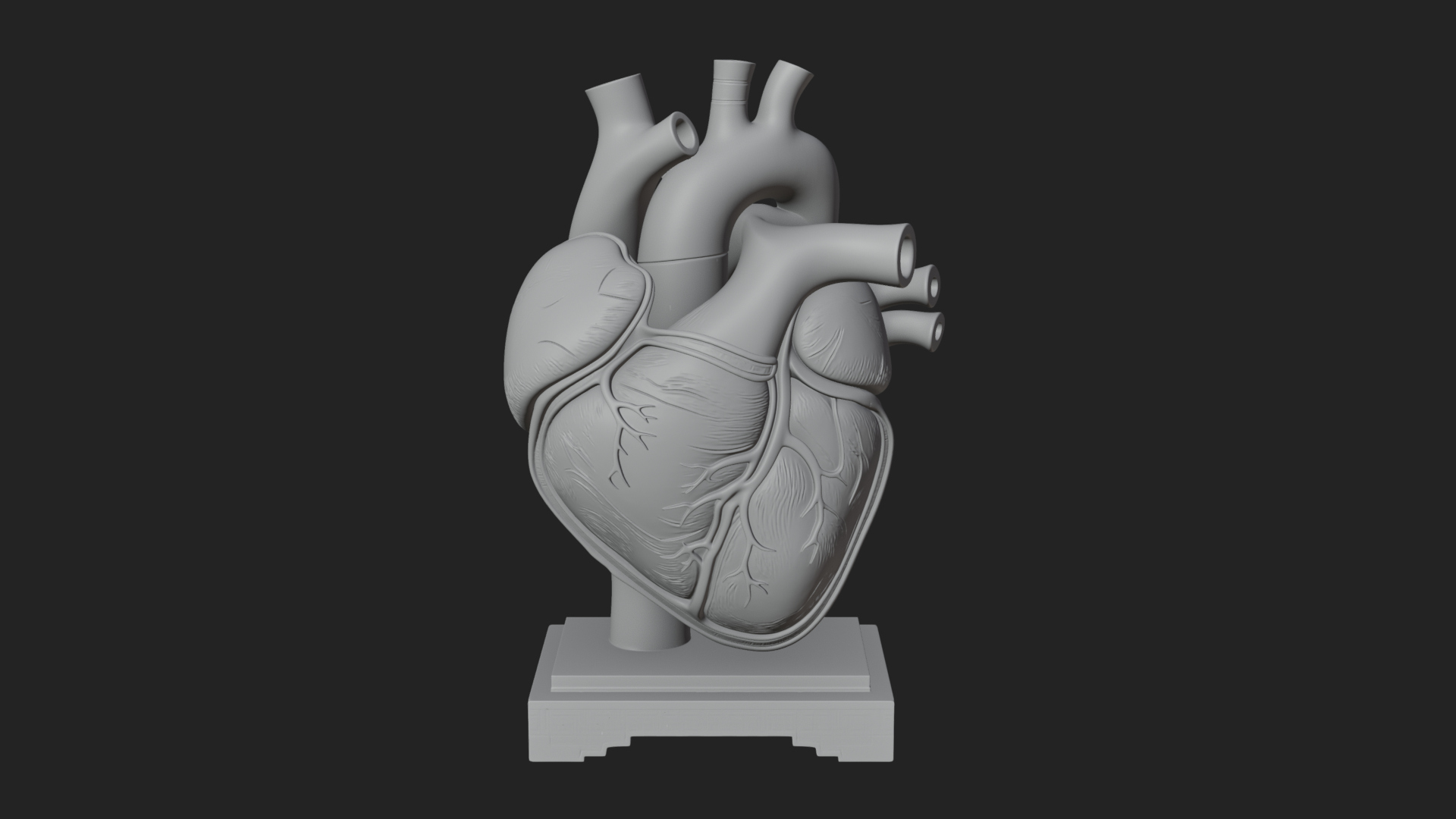 Anatomical Human Heart Model Design 36 3D Print Model 3D Model