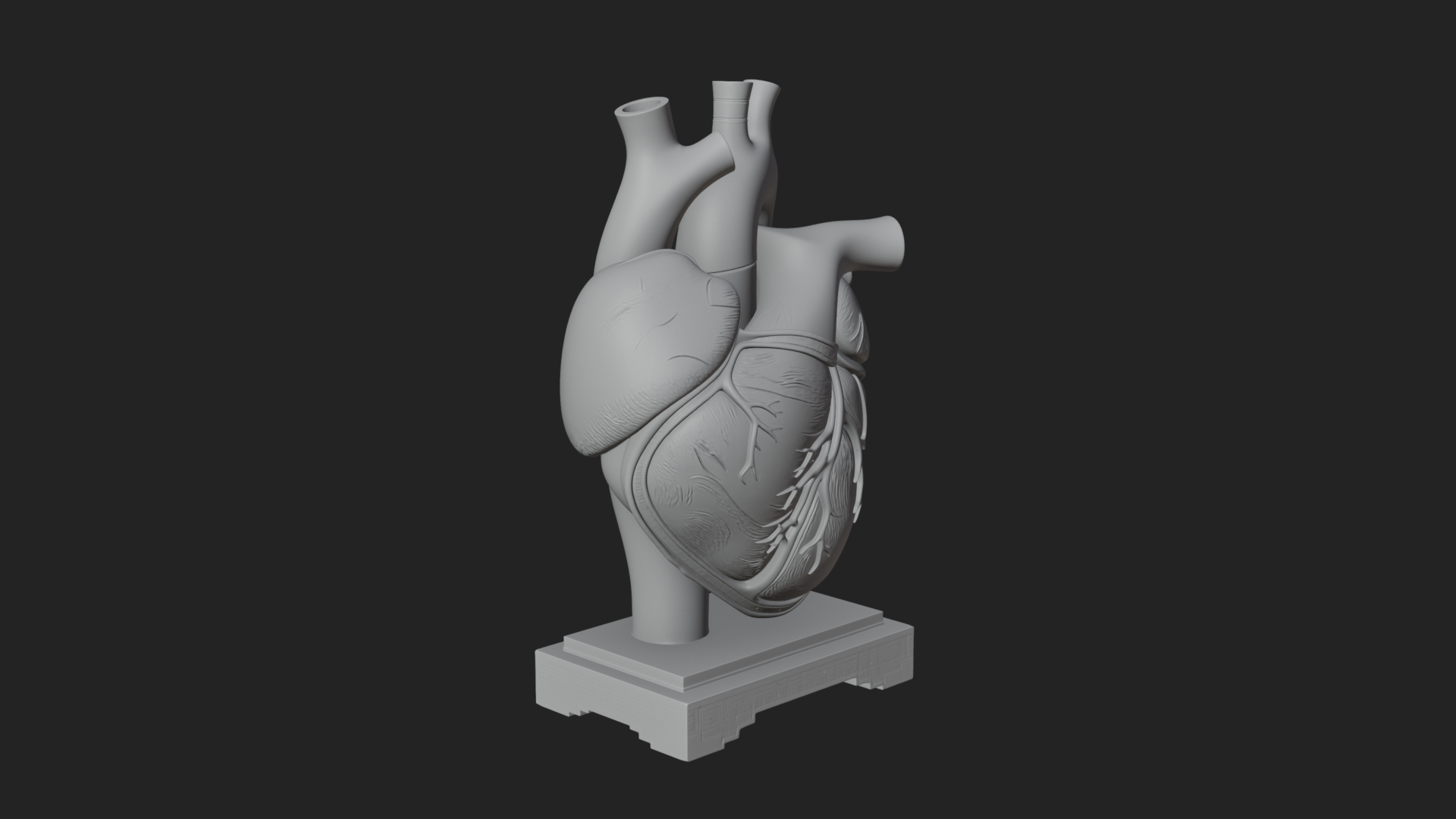 Anatomical Human Heart Model Design 36 3D Print Model 3D Model