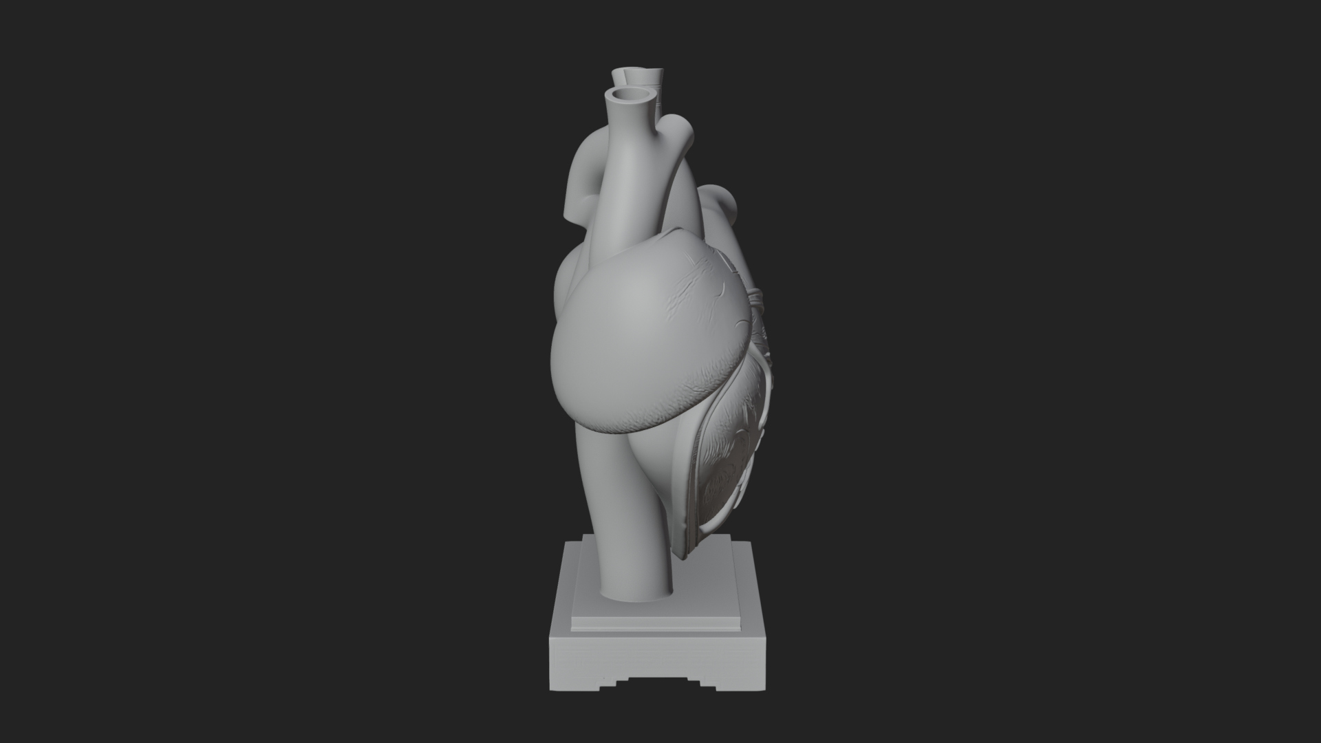 Anatomical Human Heart Model Design 36 3D Print Model 3D Model