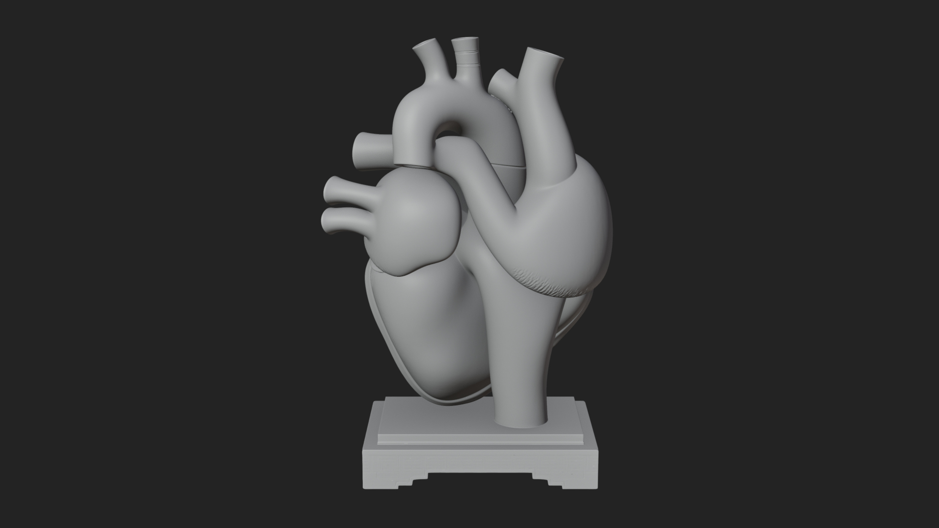 Anatomical Human Heart Model Design 36 3D Print Model 3D Model