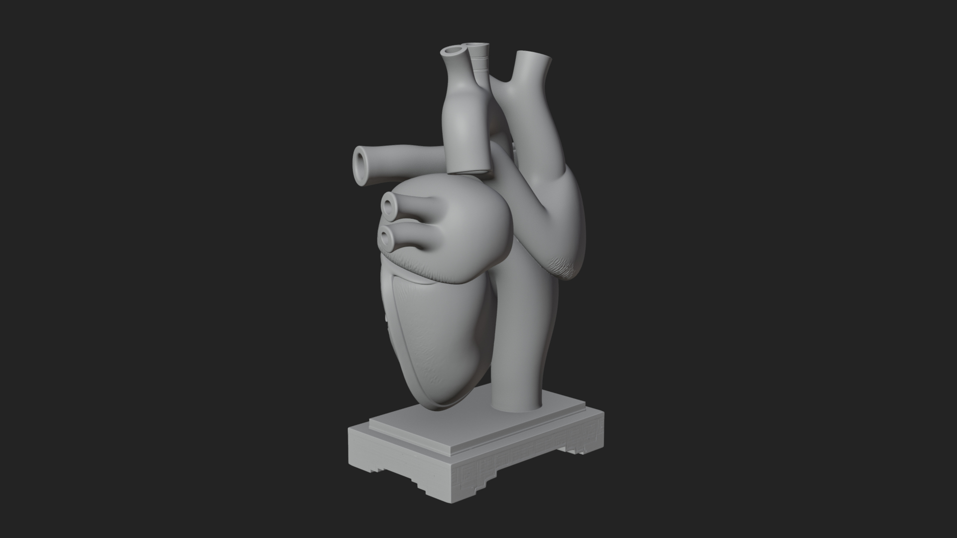 Anatomical Human Heart Model Design 36 3D Print Model 3D Model