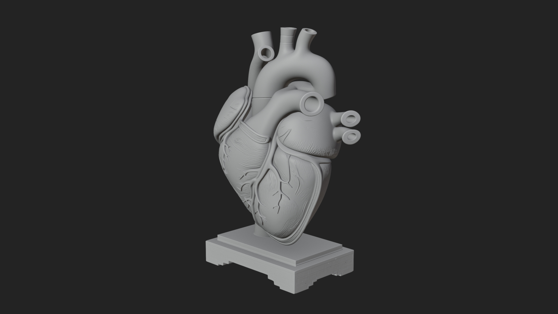 Anatomical Human Heart Model Design 36 3D Print Model 3D Model