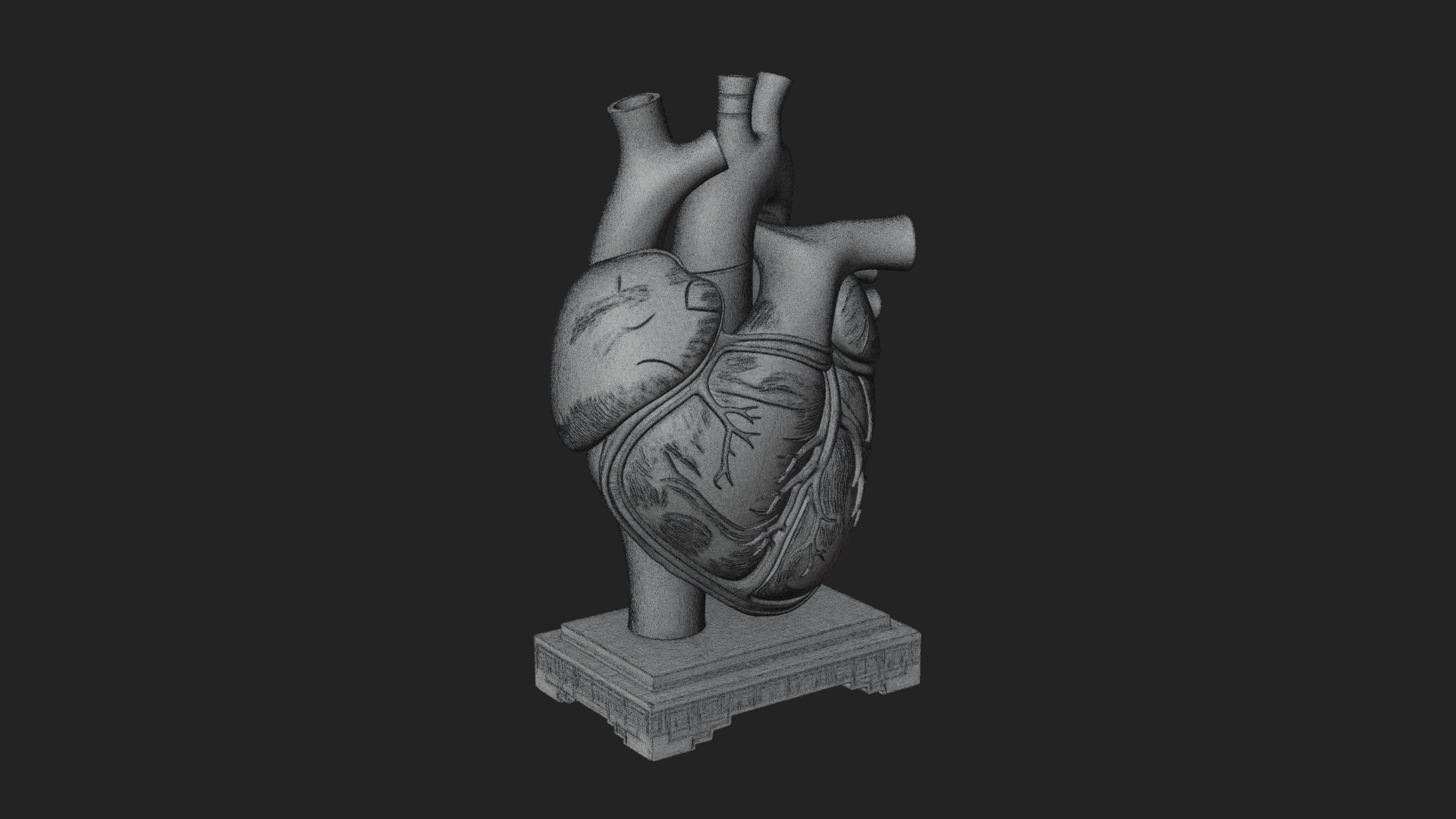 Anatomical Human Heart Model Design 36 3D Print Model 3D Model