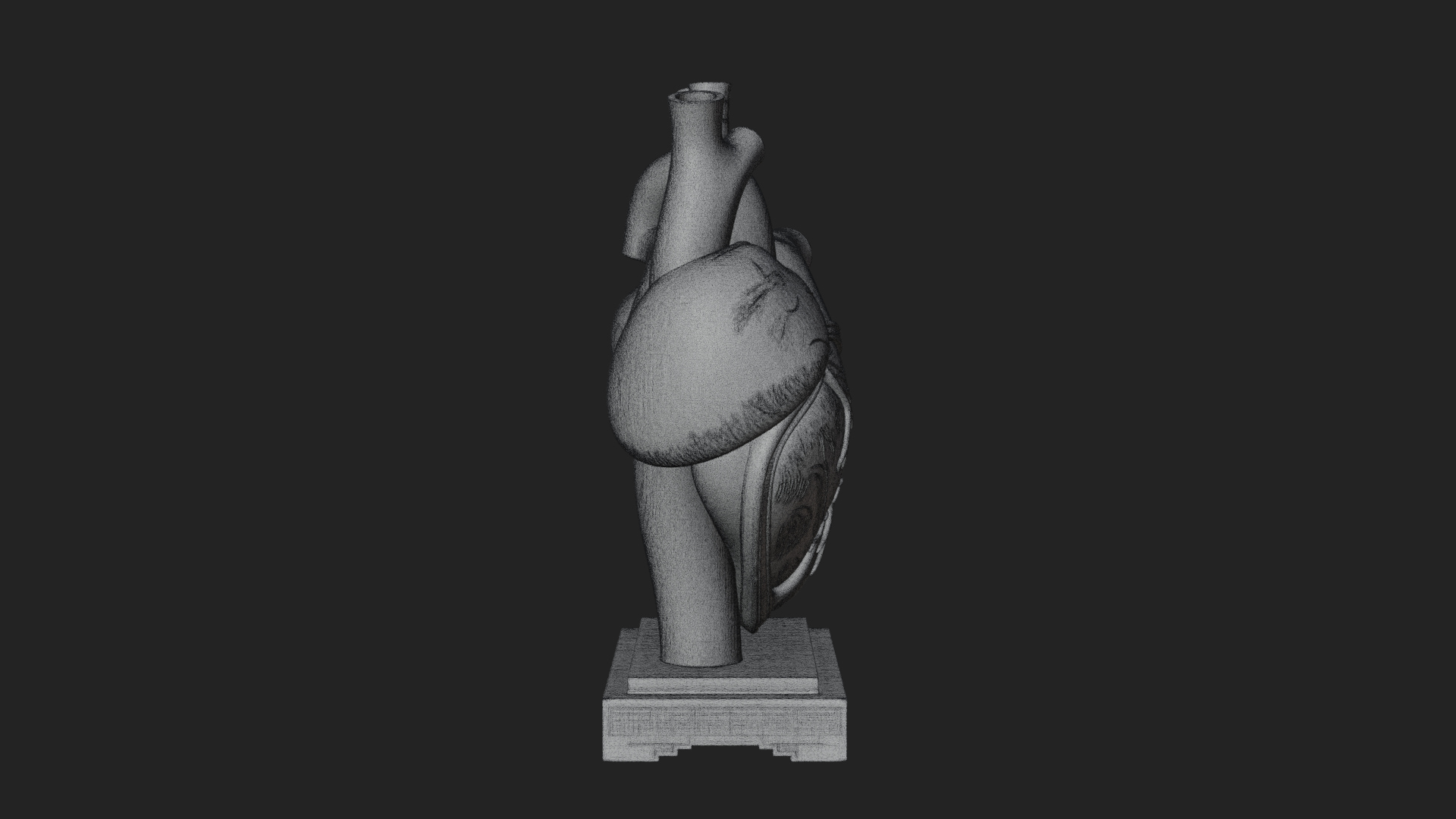 Anatomical Human Heart Model Design 36 3D Print Model 3D Model