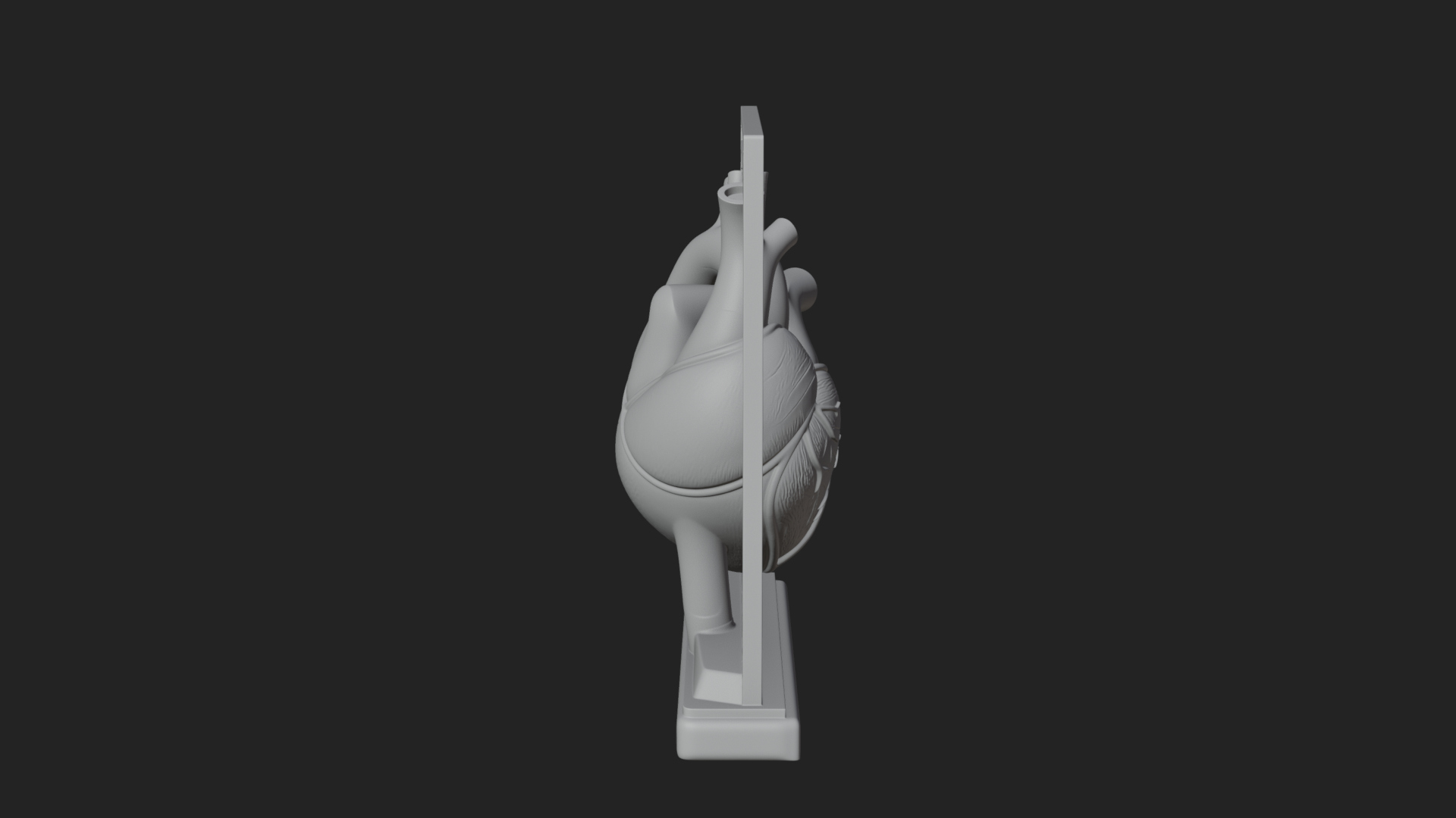 Anatomical Human Heart Model Design 38 3D Print Model 3D Model