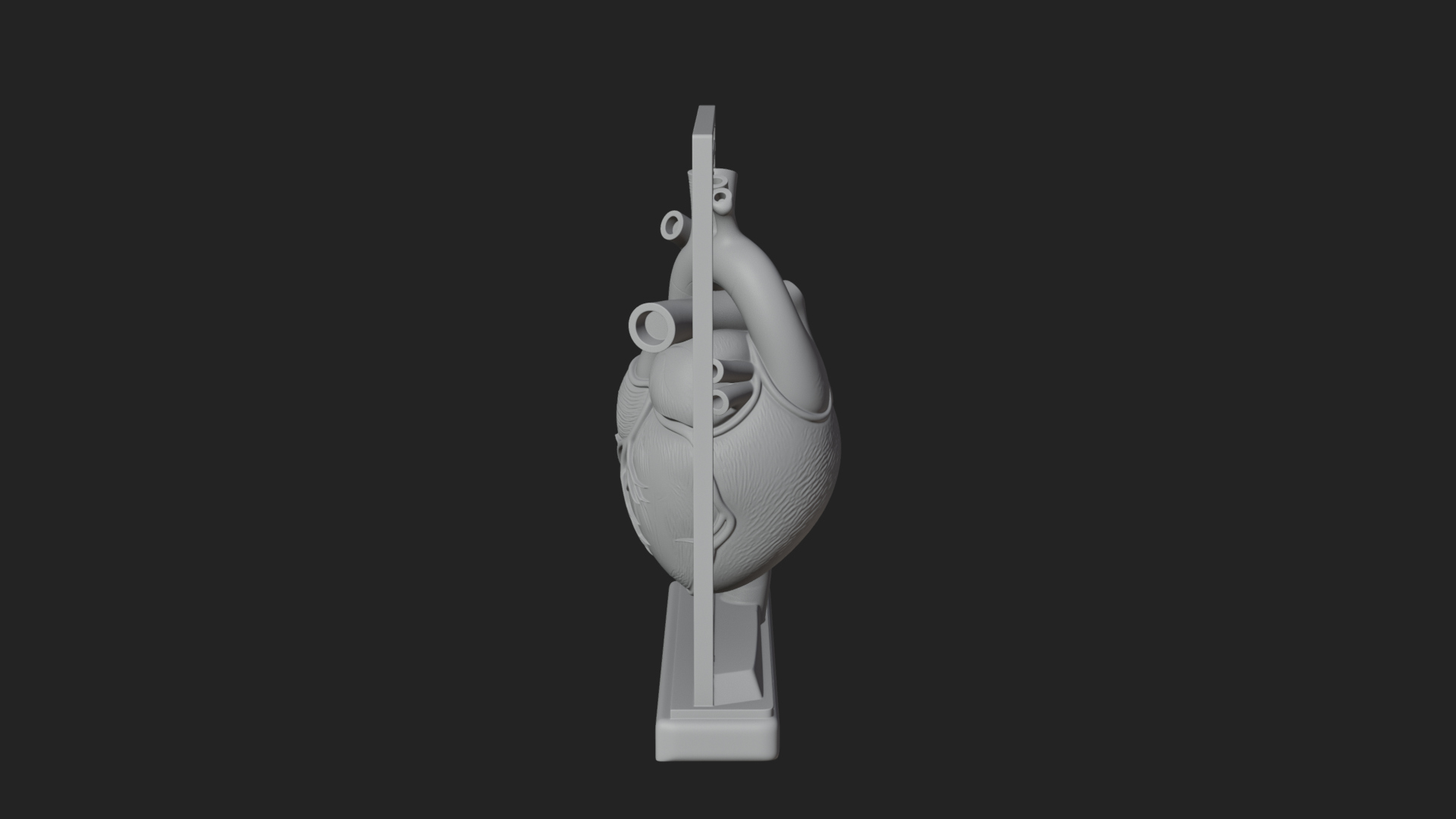 Anatomical Human Heart Model Design 38 3D Print Model 3D Model