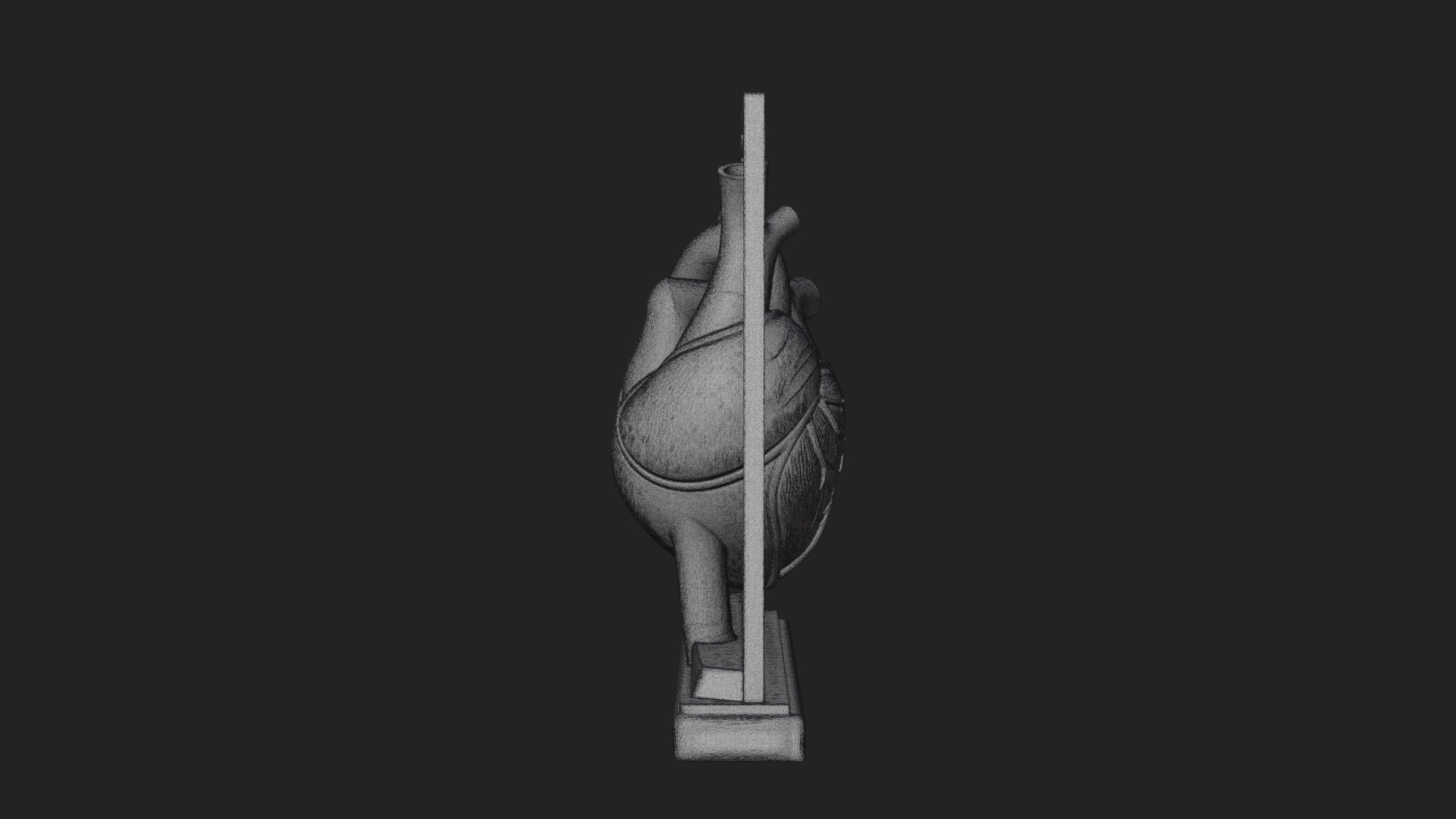 Anatomical Human Heart Model Design 38 3D Print Model 3D Model
