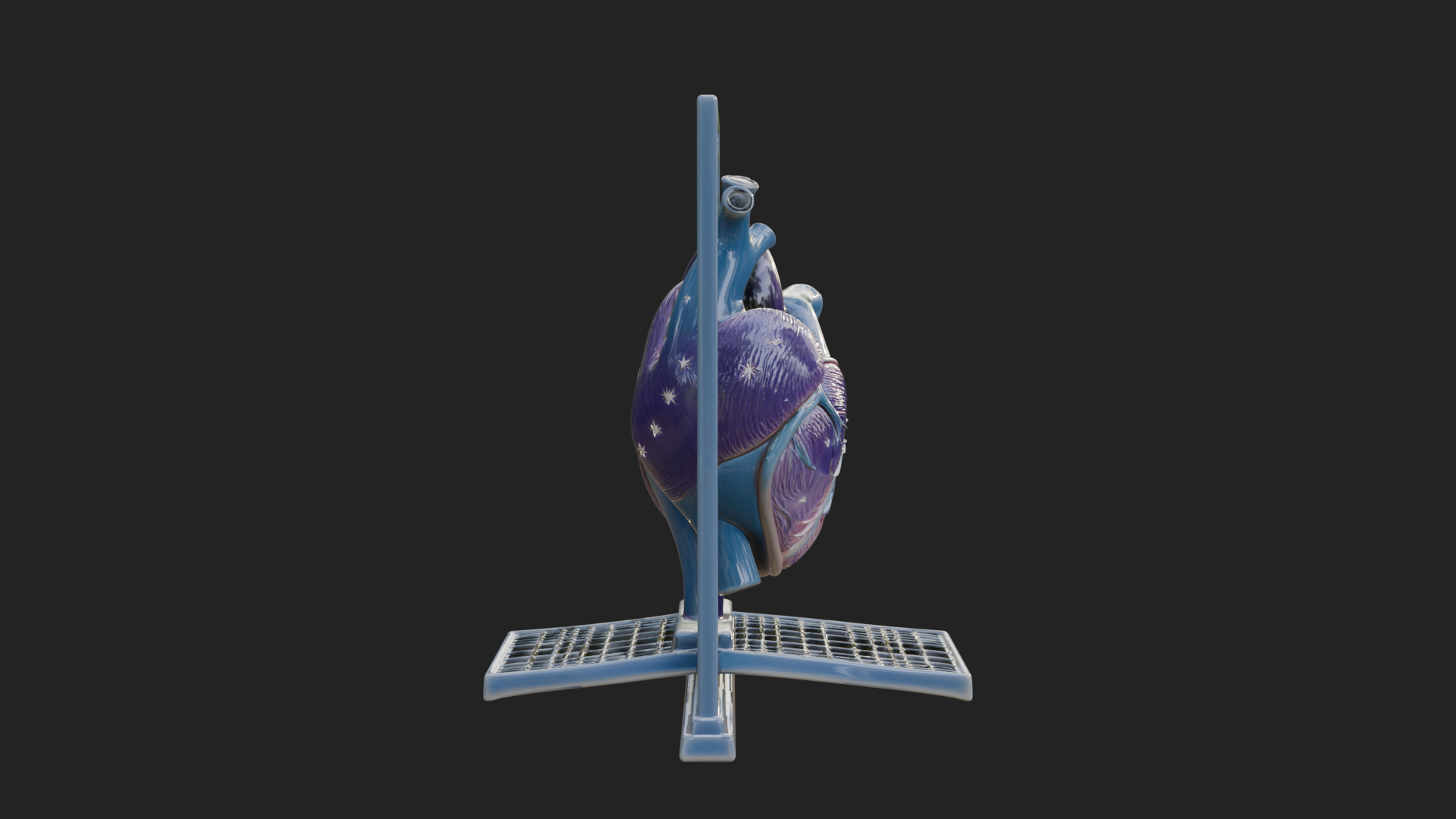 Anatomical Human Heart Model Design 39 3D Print Model 3D Model
