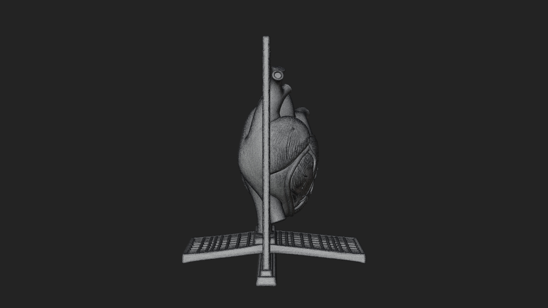 Anatomical Human Heart Model Design 39 3D Print Model 3D Model