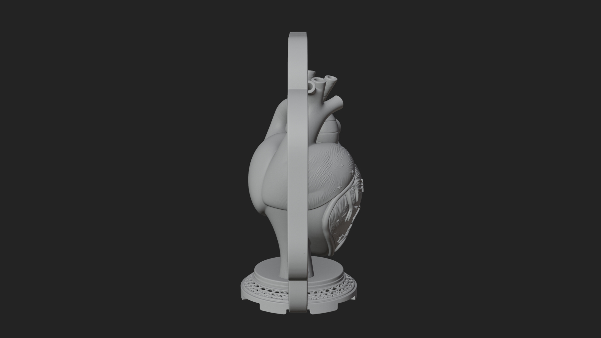 Anatomical Human Heart Model Design 40 3D Print Model 3D Model