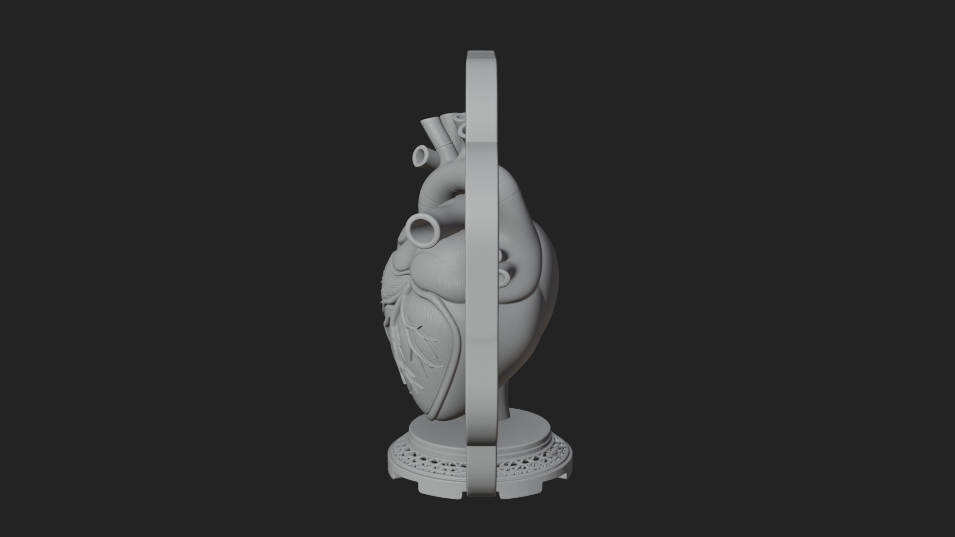 Anatomical Human Heart Model Design 40 3D Print Model 3D Model