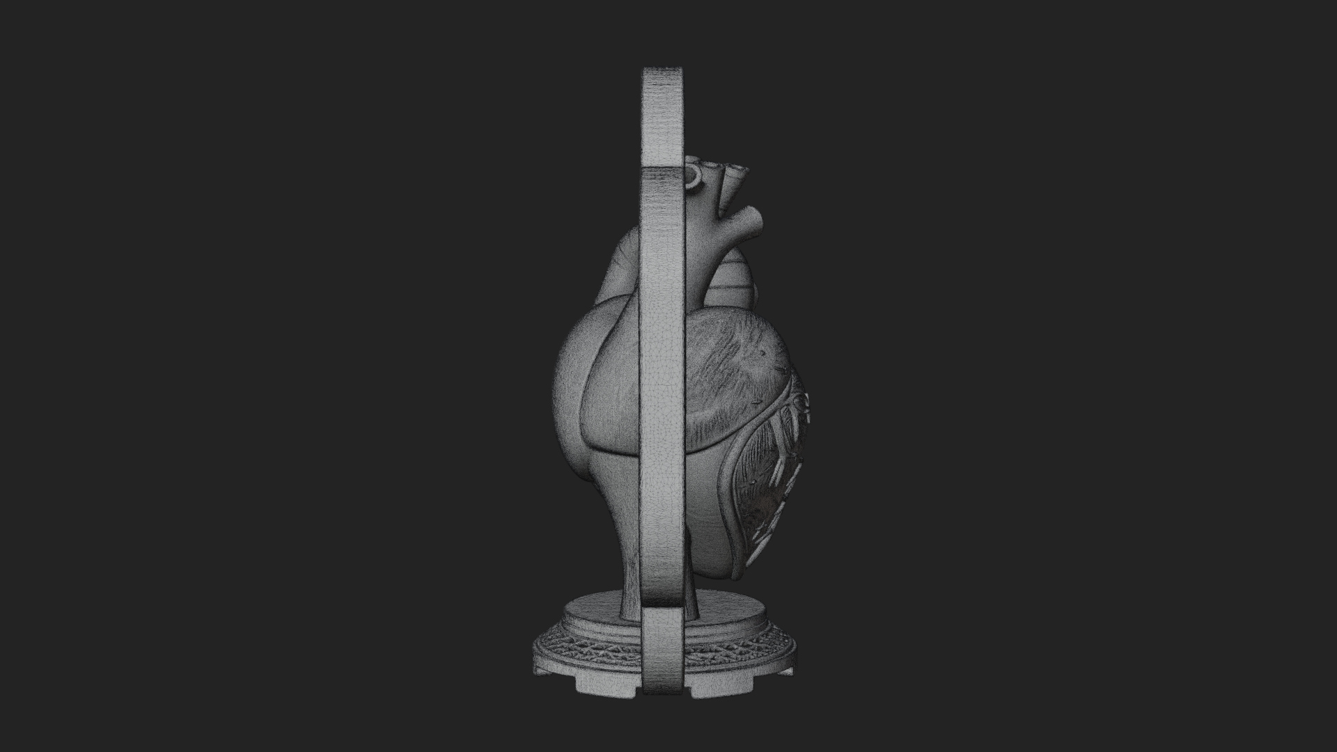 Anatomical Human Heart Model Design 40 3D Print Model 3D Model