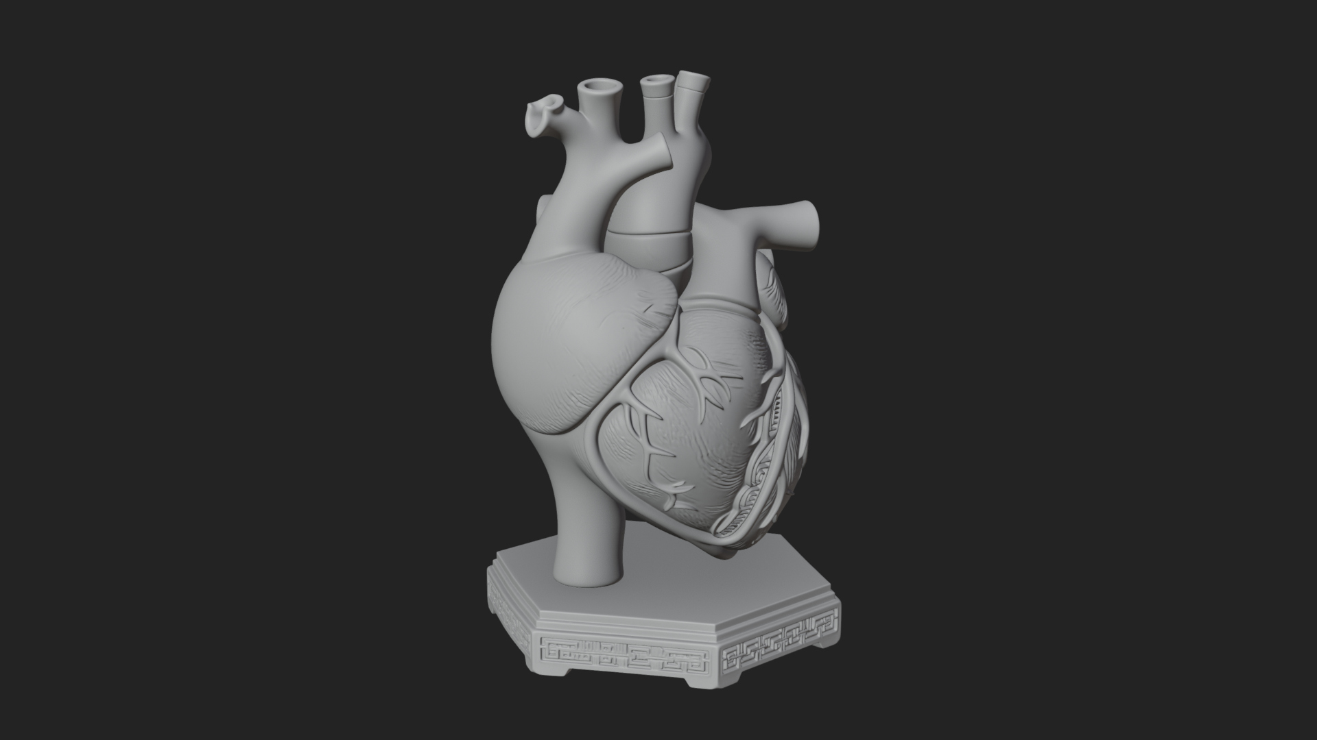 Anatomical Human Heart Model Design 42 3D Print Model 3D Model
