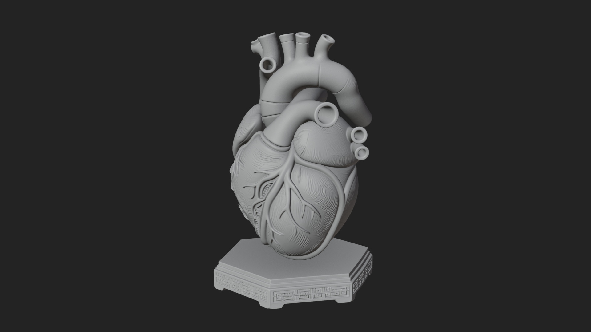 Anatomical Human Heart Model Design 42 3D Print Model 3D Model