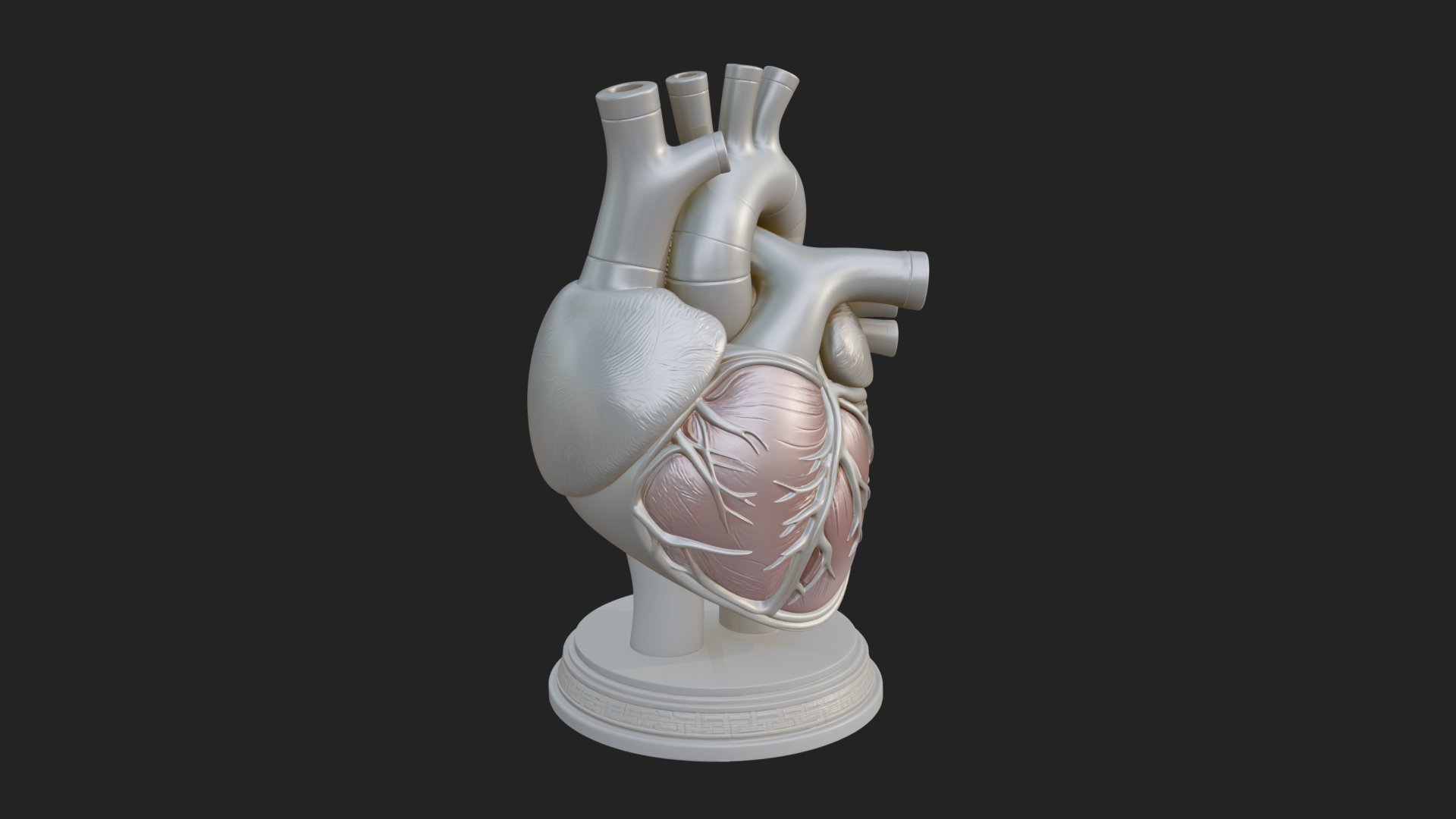 Anatomical Human Heart Model Design 43 3D Print Model 3D Model