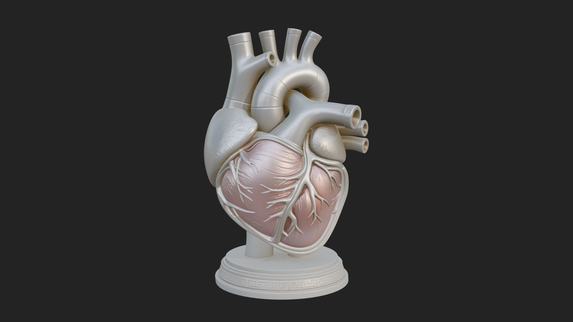 Anatomical Human Heart Model Design 43 3D Print Model 3D Model
