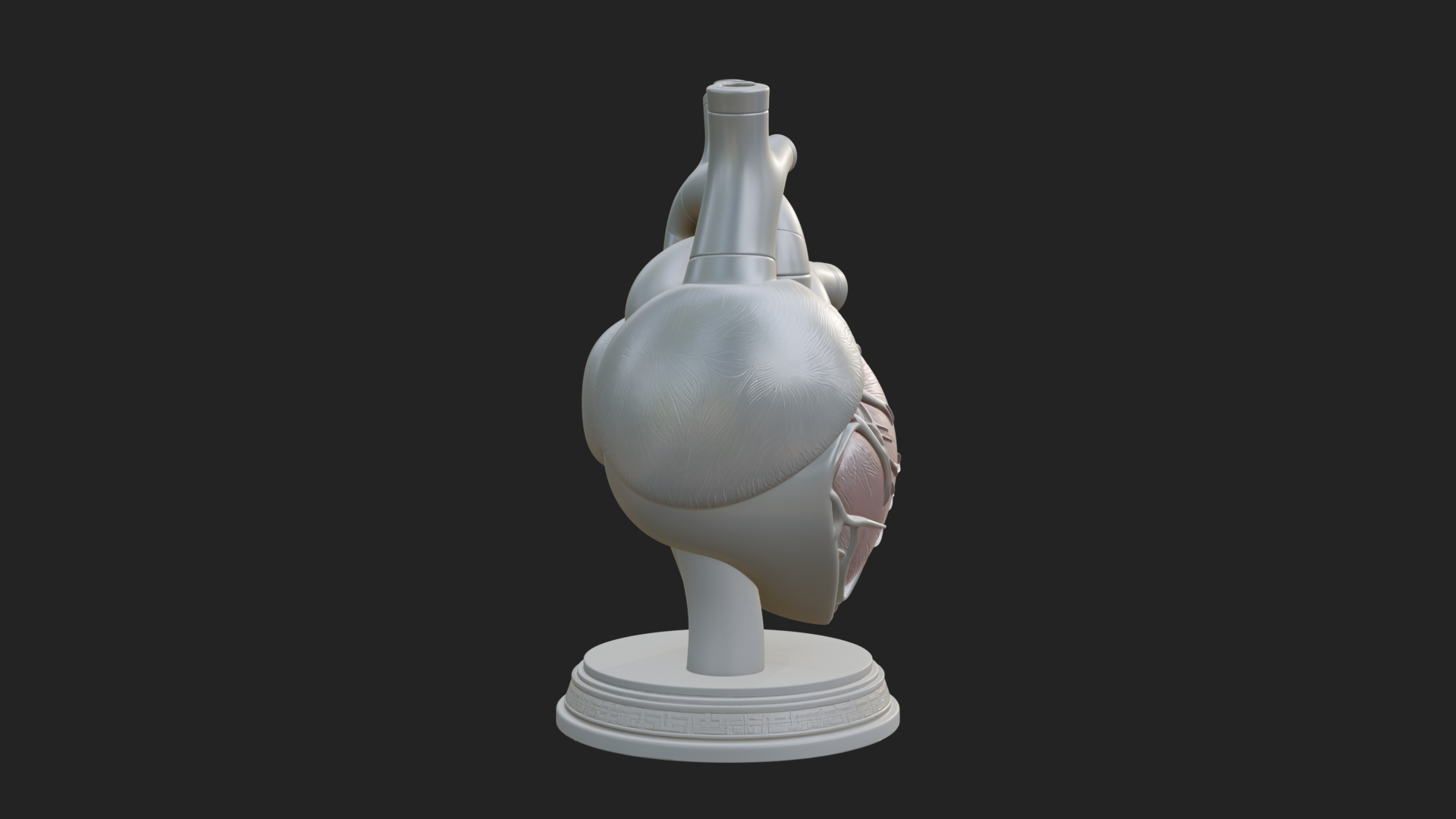 Anatomical Human Heart Model Design 43 3D Print Model 3D Model