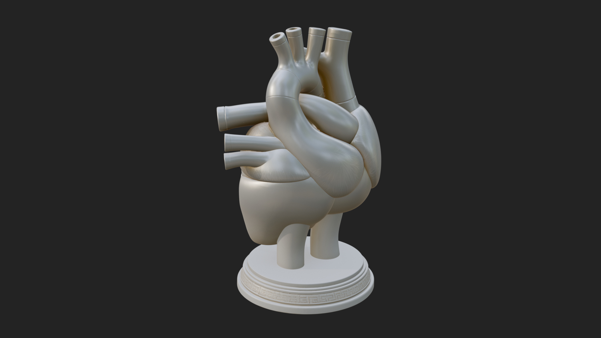 Anatomical Human Heart Model Design 43 3D Print Model 3D Model