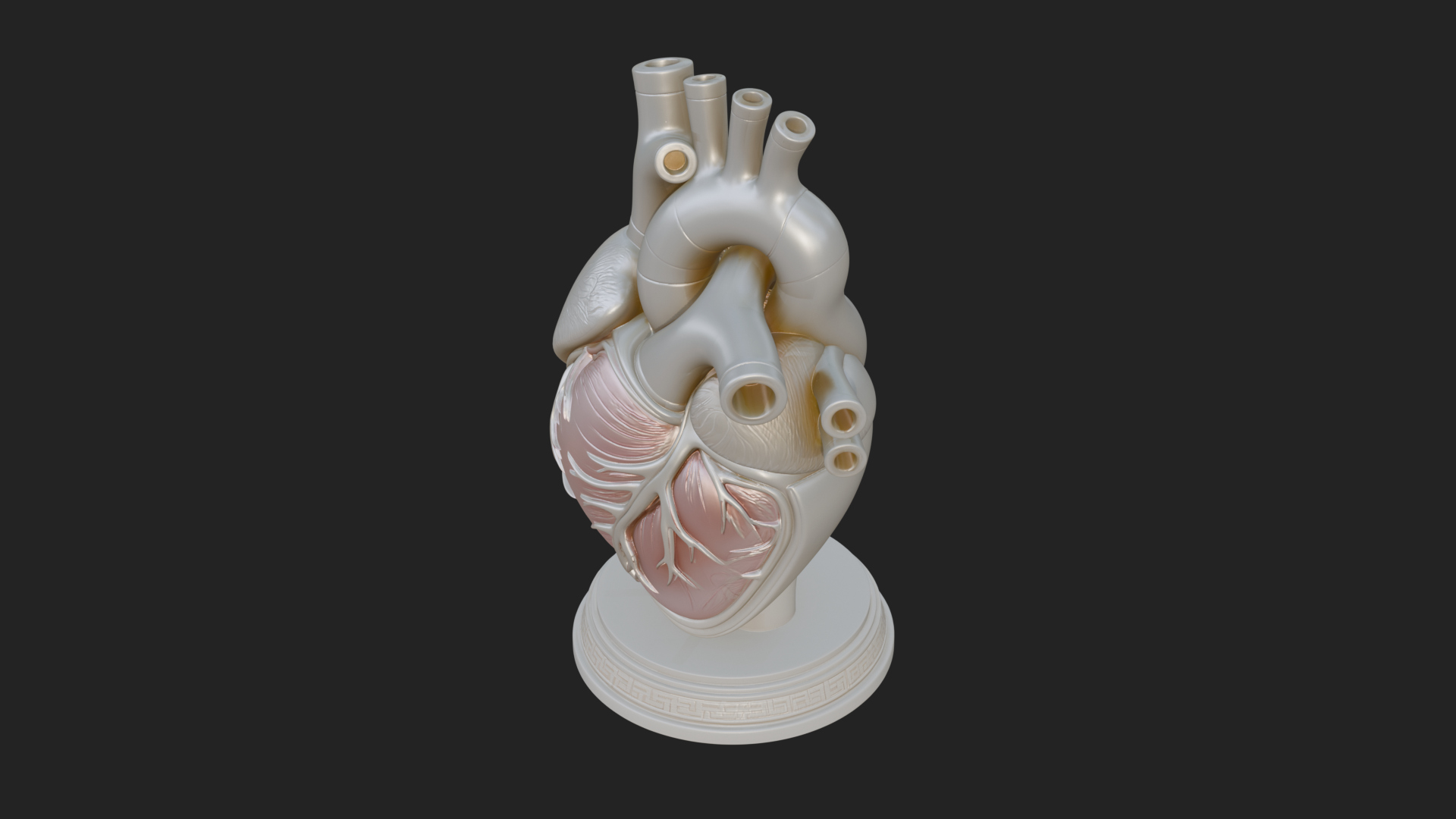 Anatomical Human Heart Model Design 43 3D Print Model 3D Model