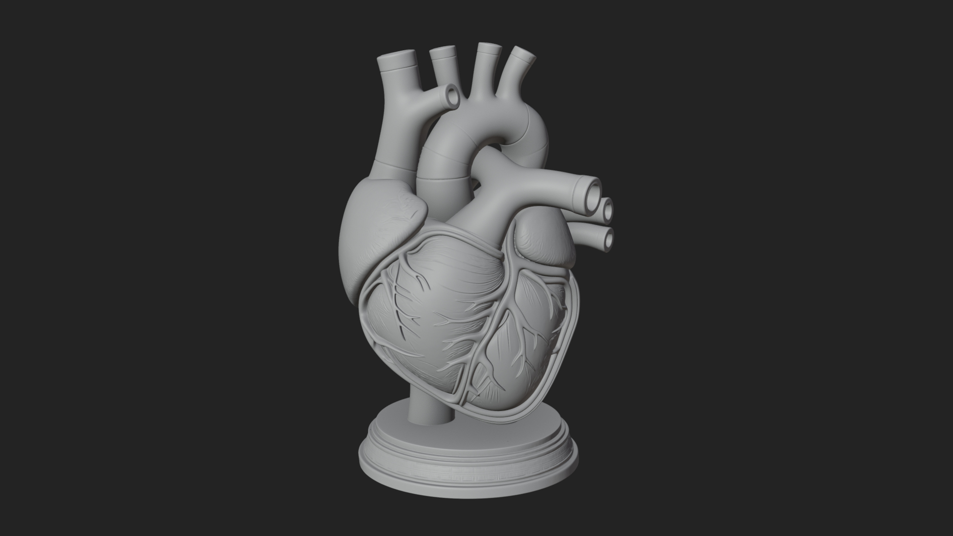 Anatomical Human Heart Model Design 43 3D Print Model 3D Model