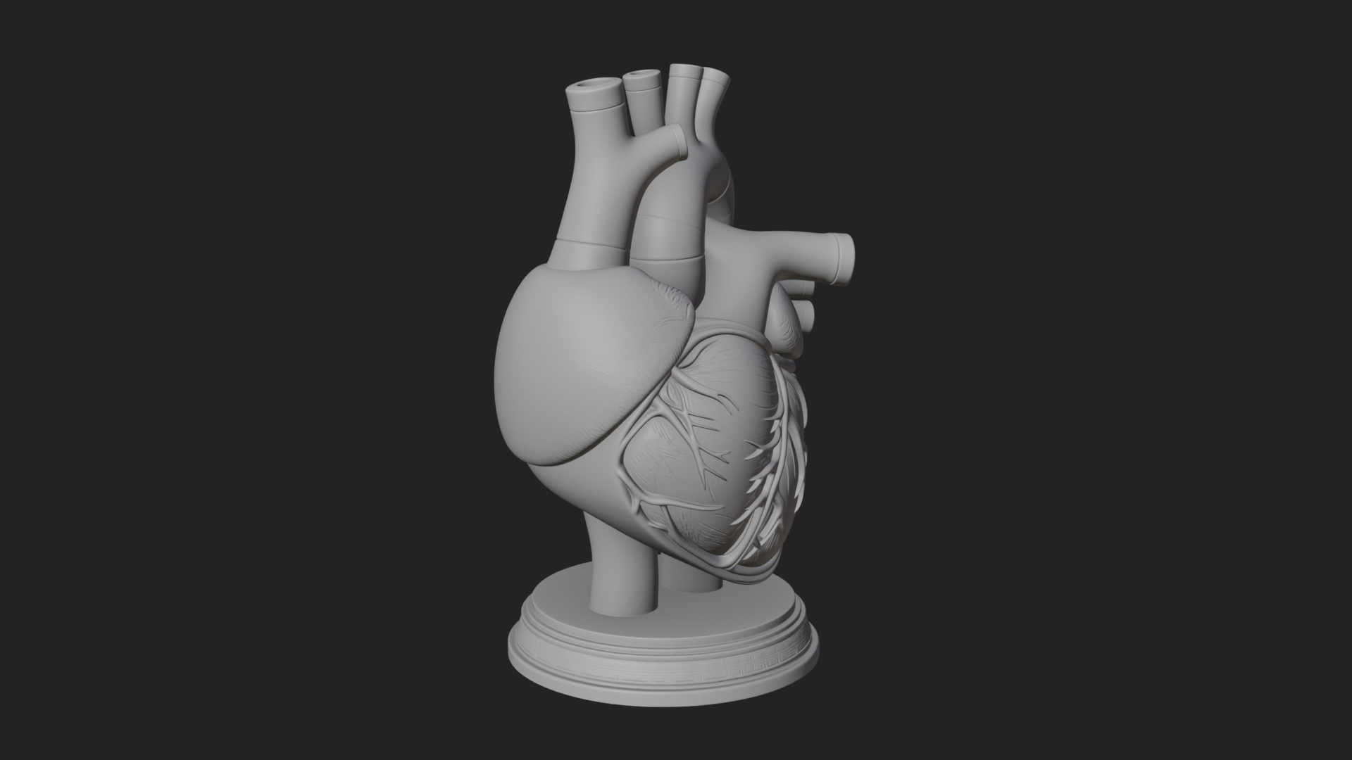 Anatomical Human Heart Model Design 43 3D Print Model 3D Model