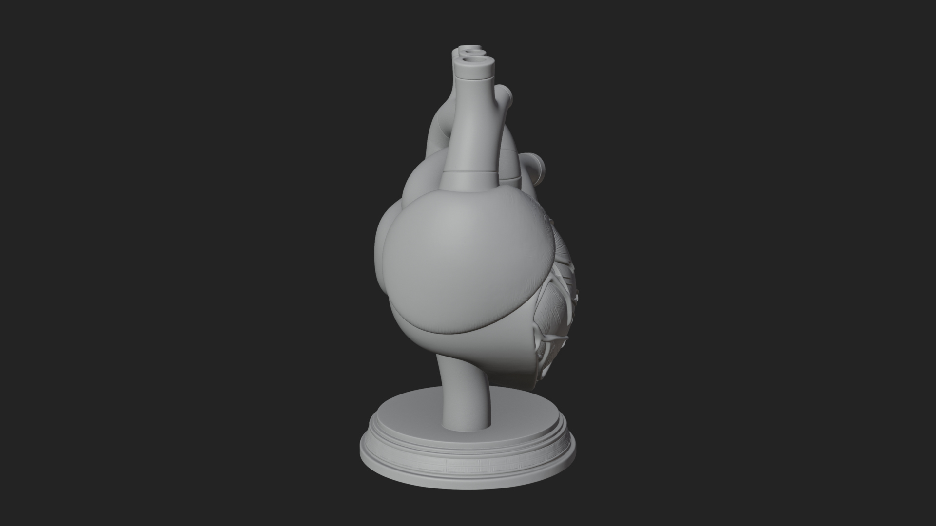 Anatomical Human Heart Model Design 43 3D Print Model 3D Model