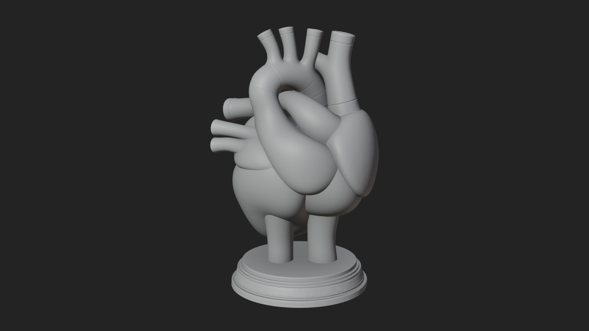 Anatomical Human Heart Model Design 43 3D Print Model 3D Model