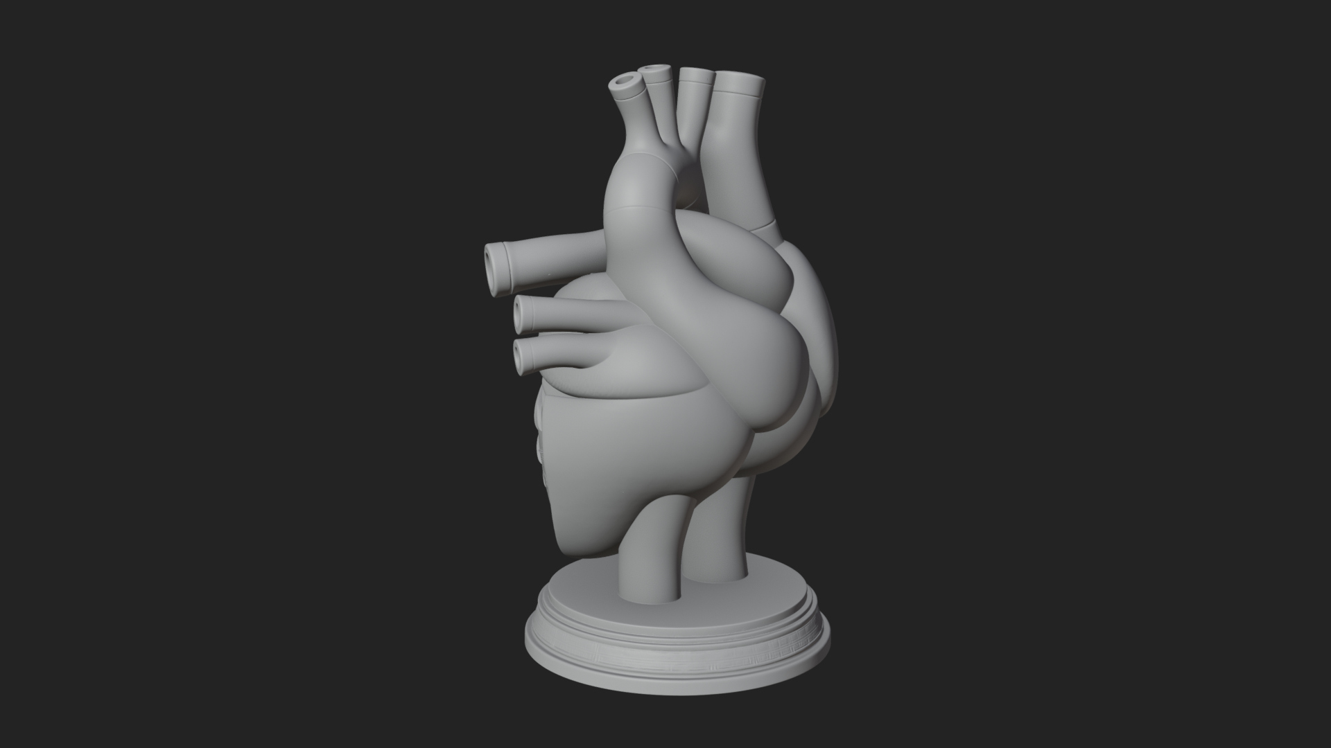 Anatomical Human Heart Model Design 43 3D Print Model 3D Model