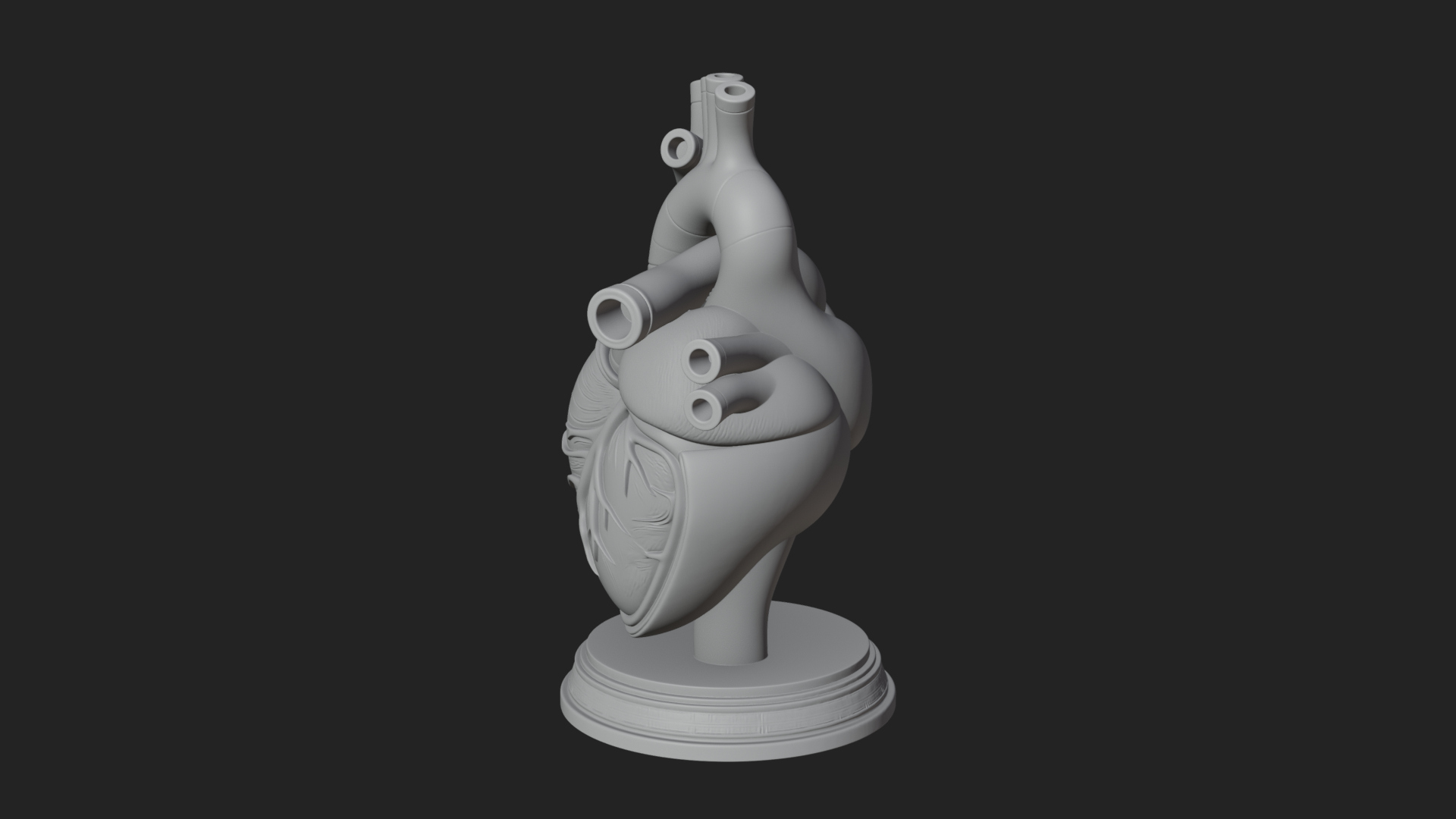 Anatomical Human Heart Model Design 43 3D Print Model 3D Model