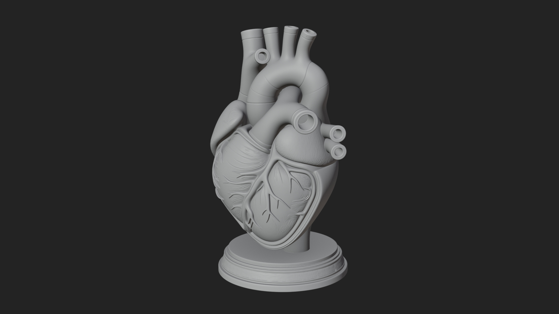 Anatomical Human Heart Model Design 43 3D Print Model 3D Model