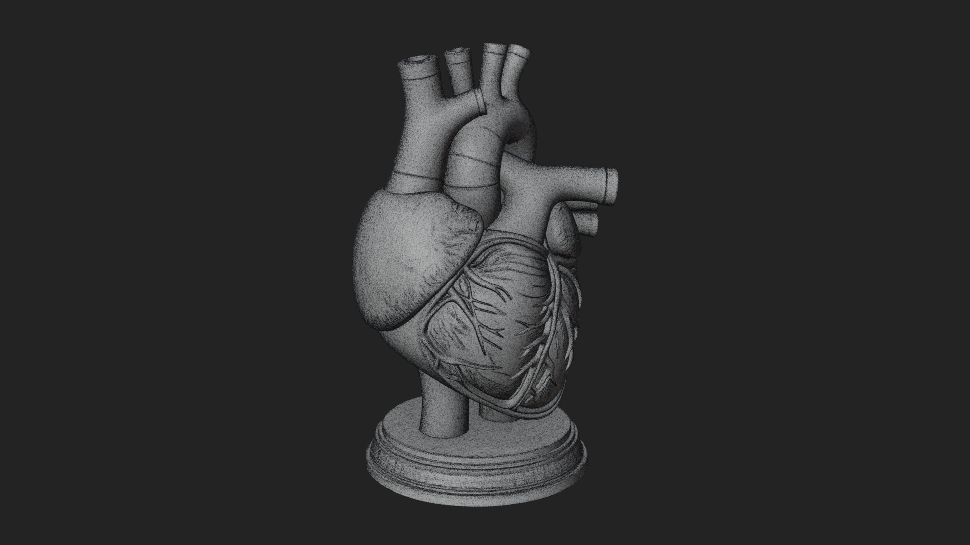 Anatomical Human Heart Model Design 43 3D Print Model 3D Model