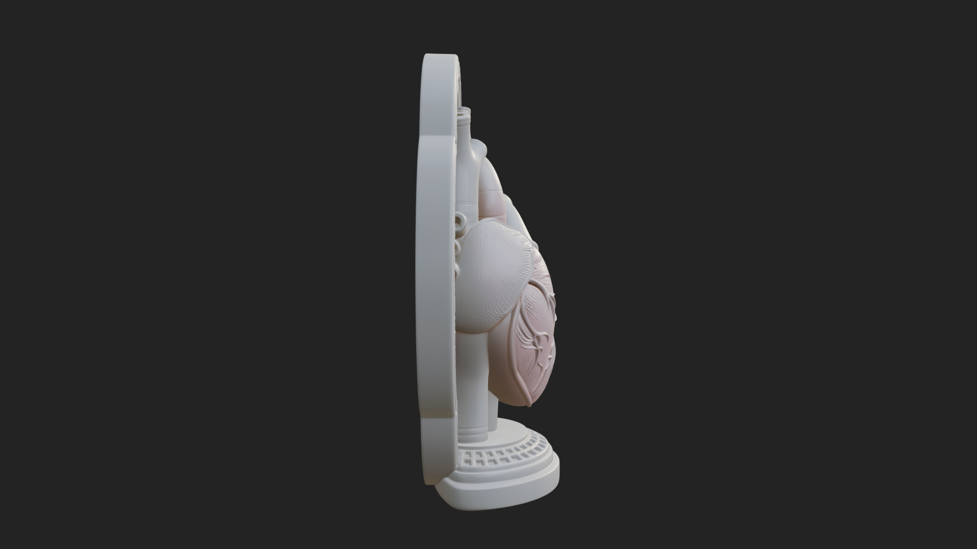 Anatomical Human Heart Model Design 44 3D Print Model 3D Model