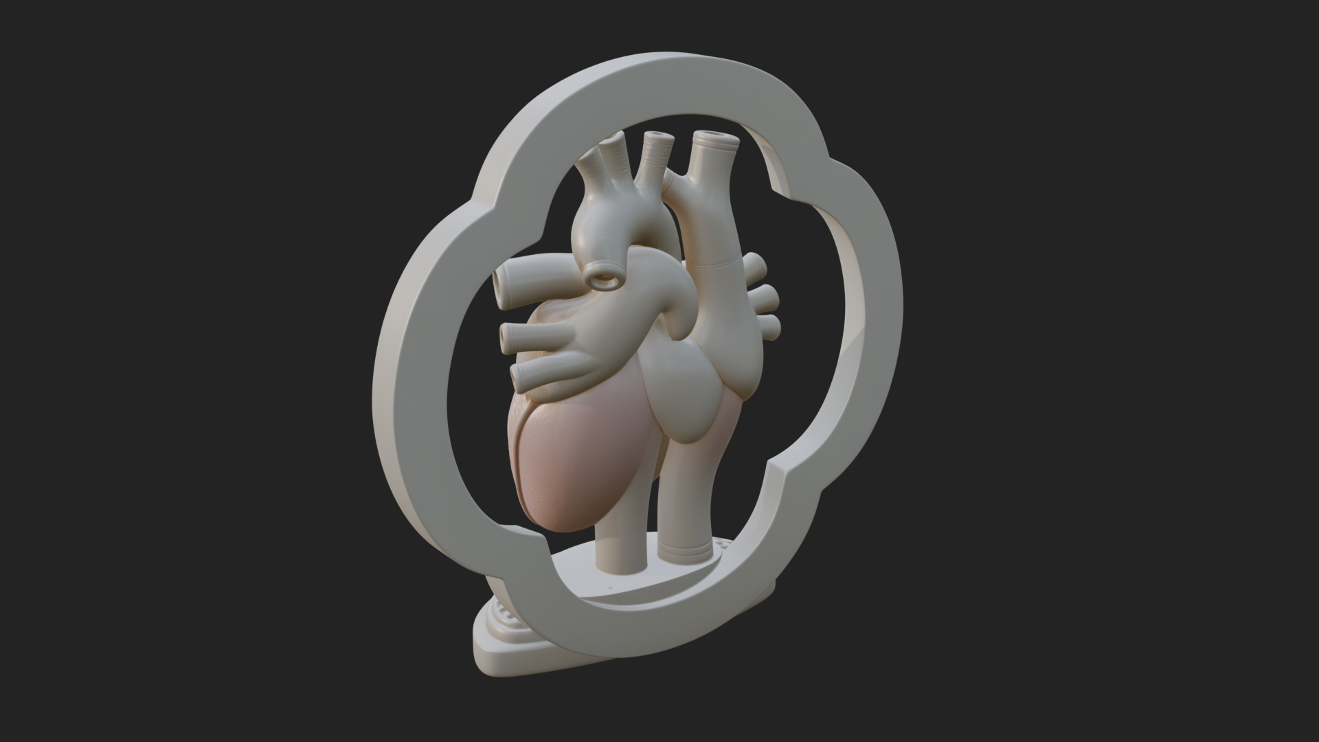 Anatomical Human Heart Model Design 44 3D Print Model 3D Model