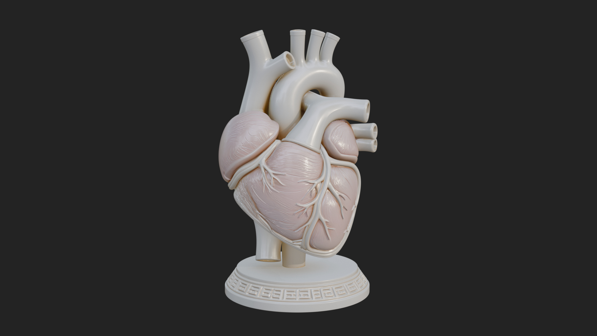 Anatomical Human Heart Model Design 45 3D Print Model 3D Model