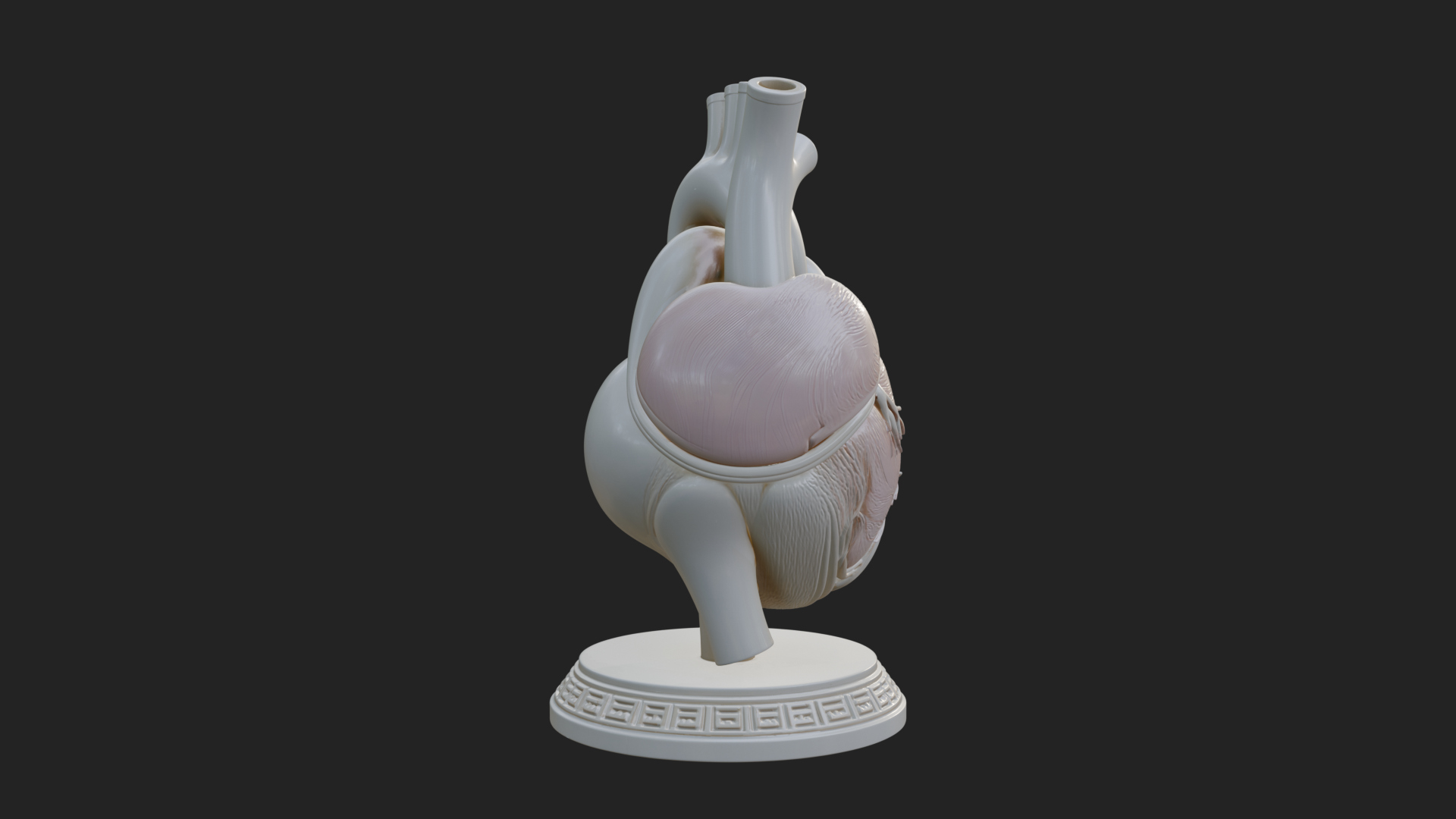 Anatomical Human Heart Model Design 45 3D Print Model 3D Model