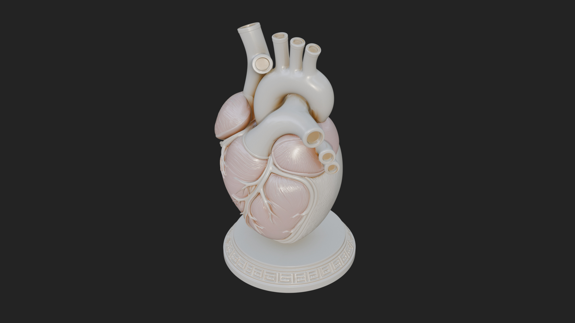 Anatomical Human Heart Model Design 45 3D Print Model 3D Model