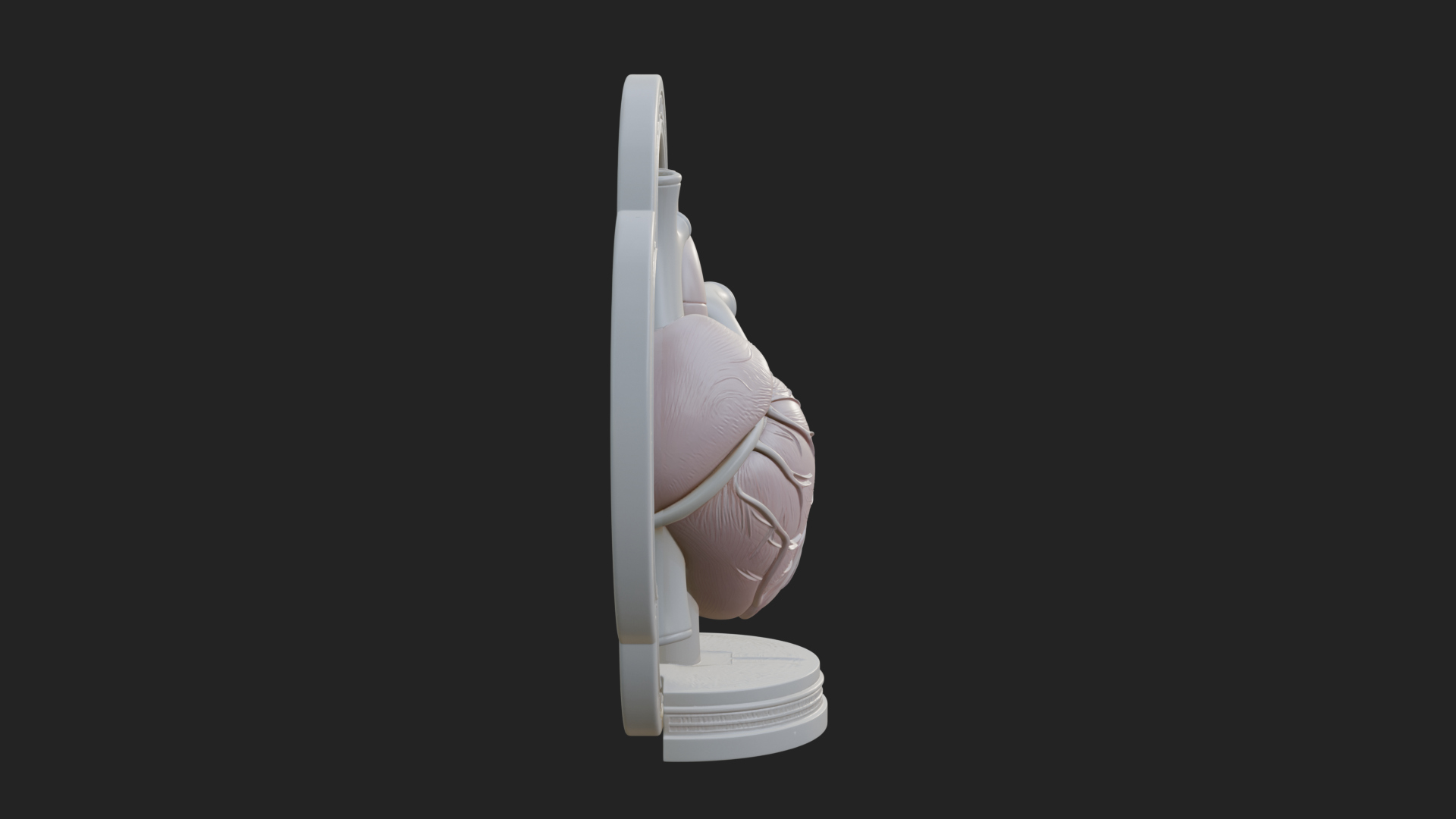 Anatomical Human Heart Model Design 46 3D Print Model 3D Model
