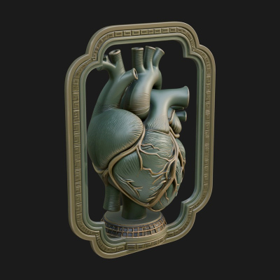 Anatomical Human Heart Model Design 47 3D Print Model