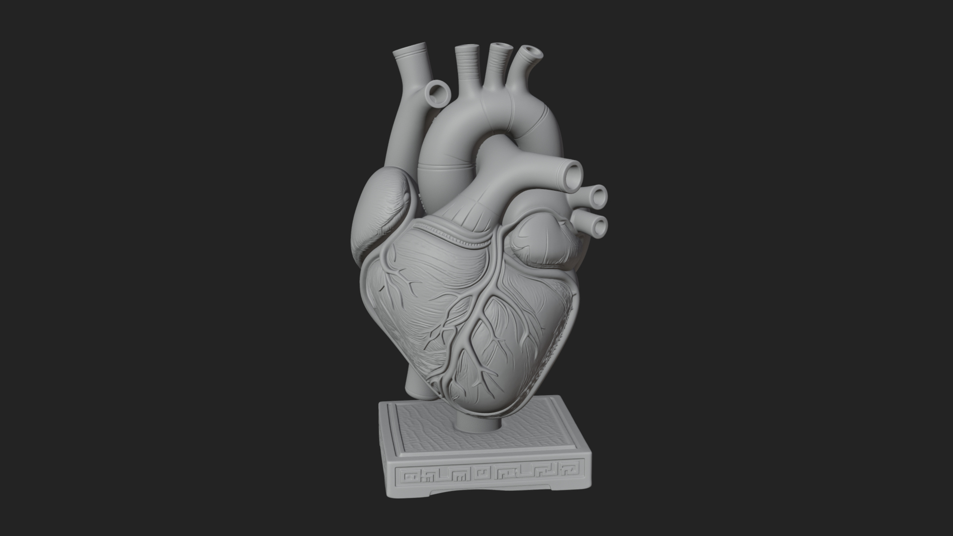 Anatomical Human Heart Model Design 48 3D Print Model 3D Model